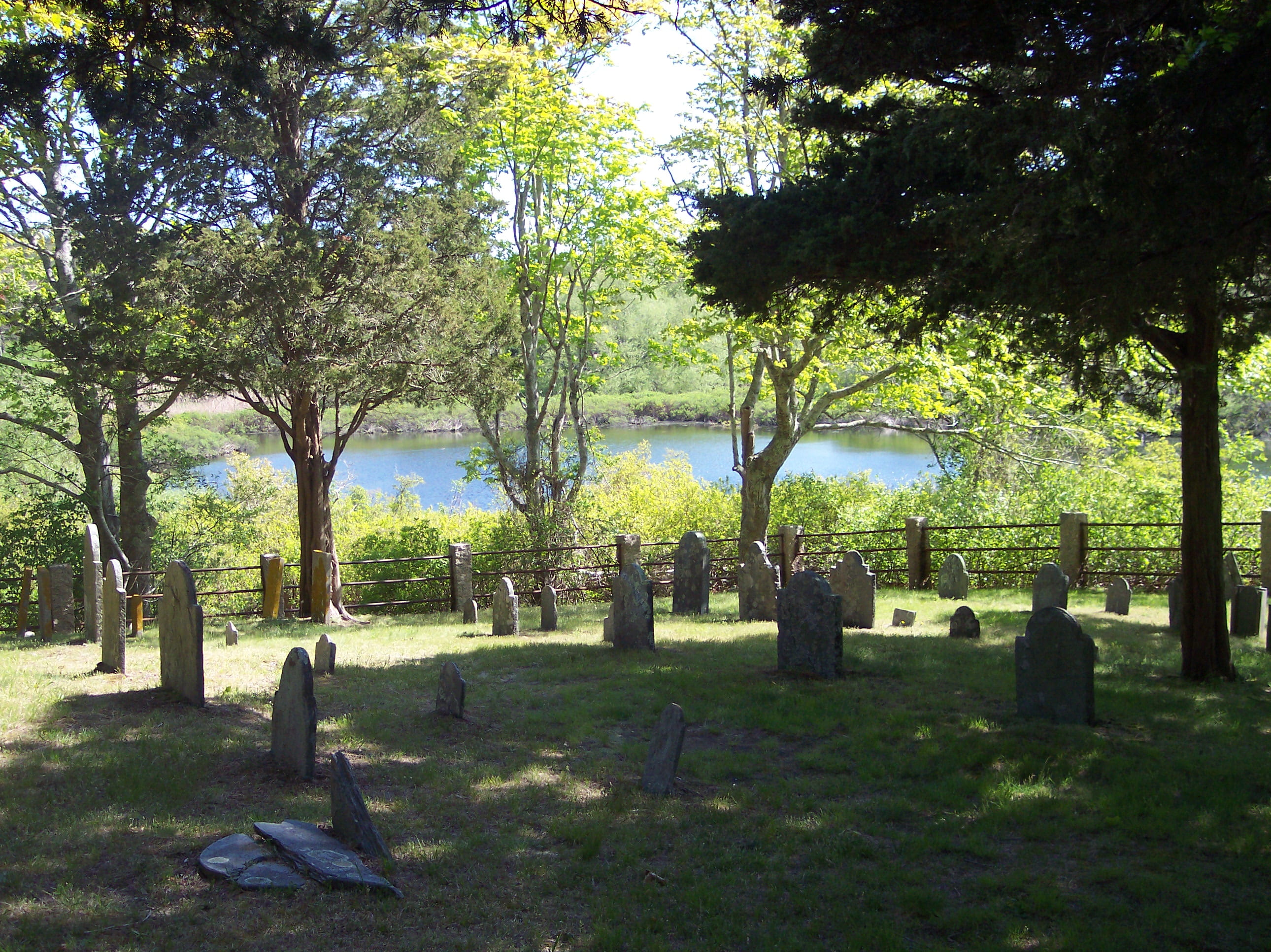 gravestones, outdoors, green color, sunlight, 2K, tree trunk, cemetery, headstones, grass, tree, tranquility, pond, trunk, day, park, nature, plant, growth, HD Wallpaper
