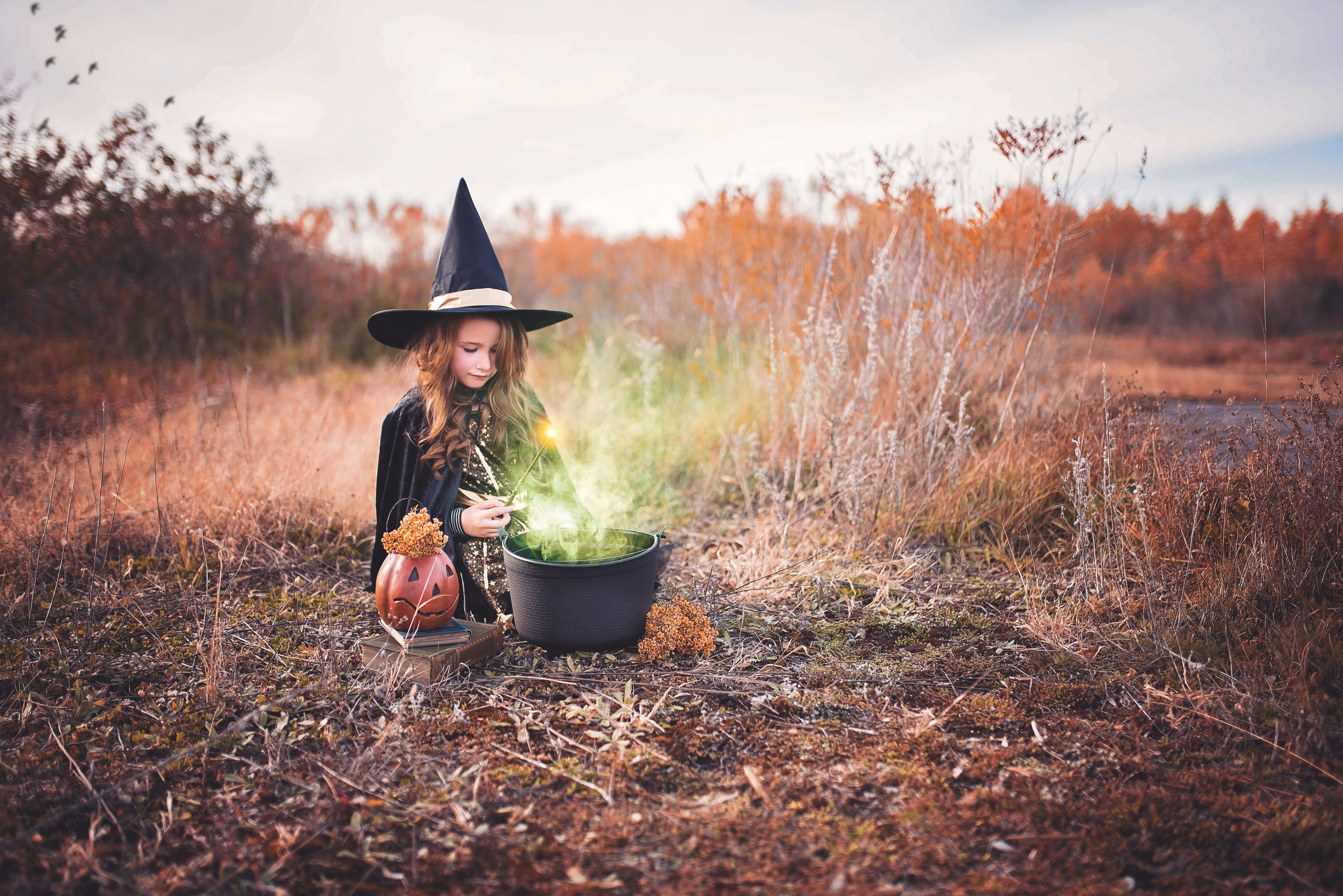 fall, nature, brewing, 5K, one person, cowboy hat, spell, childhood, girl, outdoors, landscape, full length, child, day, costume, tree, land, magic, trick or treat, HD Wallpaper