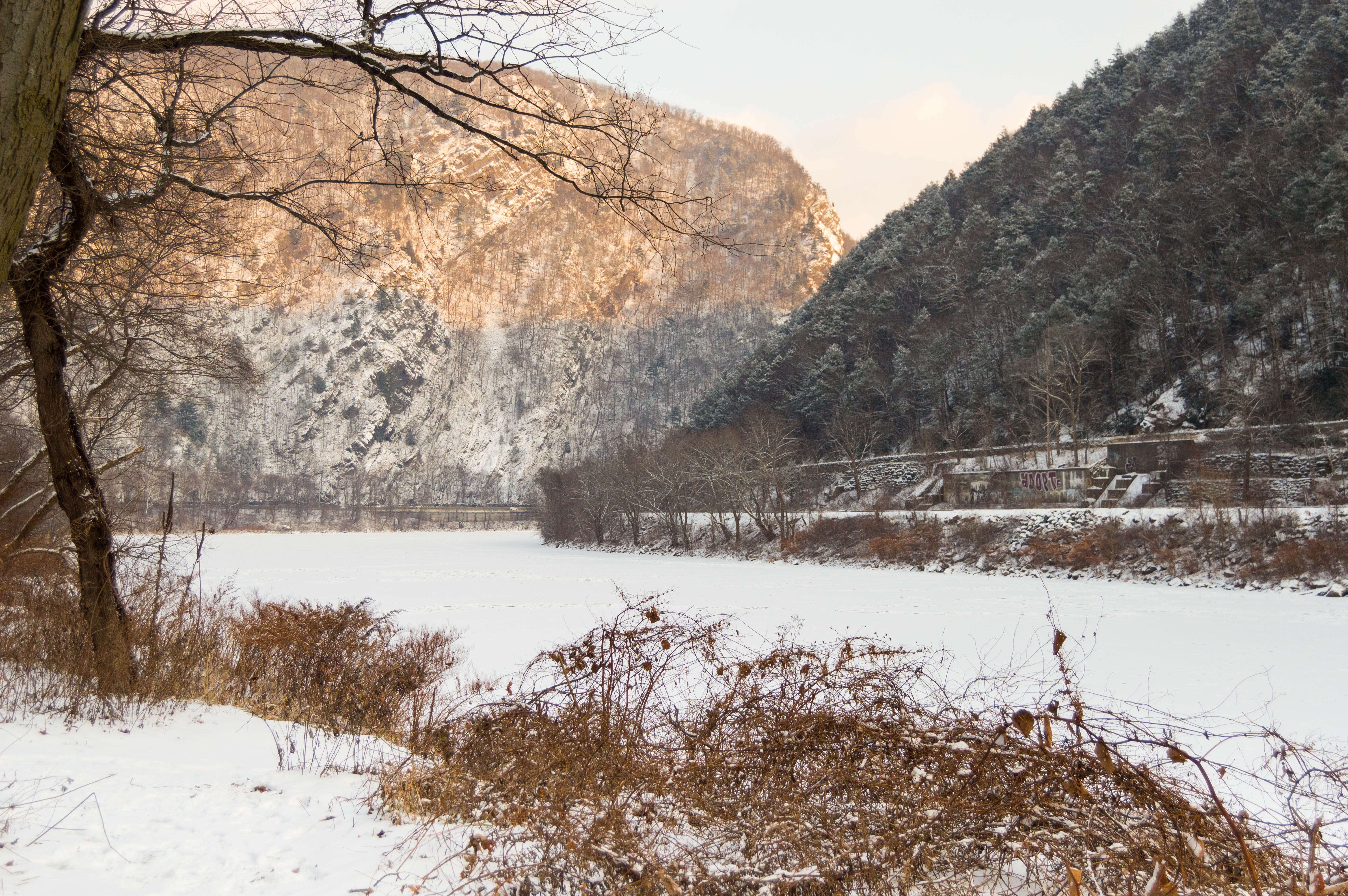 mountain, natural, tree, outdoors, white color, plant, day, frozen, no people, united states, kittatinny point visitor center, beauty in nature, mountains, HD Wallpaper