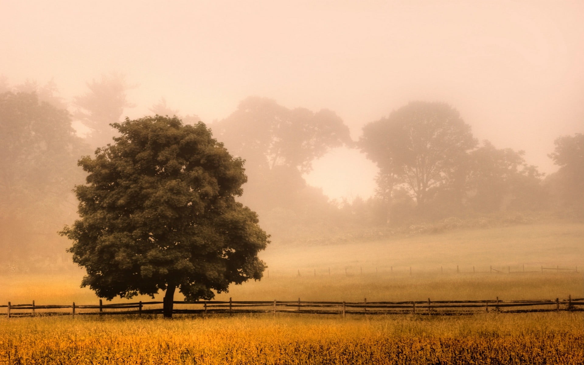 landscape, beauty in nature, growth, sunlight, trees, outdoors, land, environment, grass, plant, New Jersey, field, no people, fence, tranquility, shrubs, HD Wallpaper