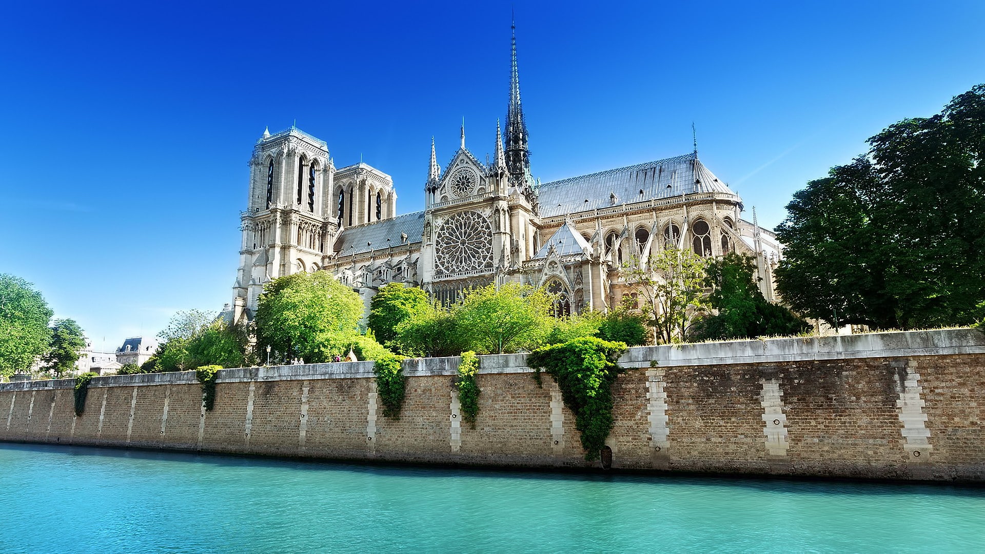 city, tree, gothic style, place of worship, clear sky, tourism, plant, outdoors, Paris, built structure, spire, France, building, history, water, nature, HD Wallpaper