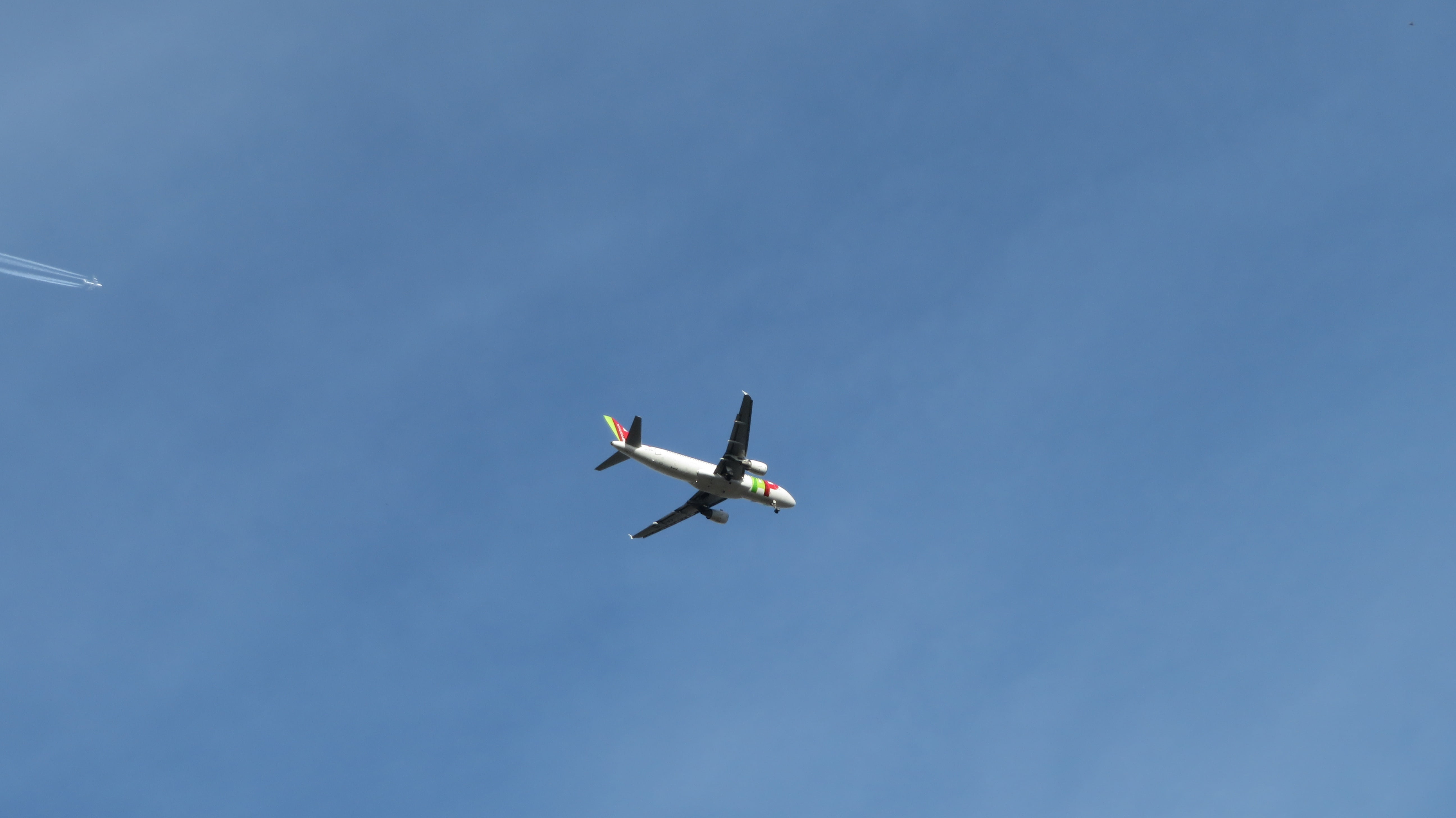 clear sky, chemtrails, aerobatics, copy space, contrail, propeller airplane, flying, mode of transportation, blue, day, conspiracy theory, airliner, air vehicle, HD Wallpaper