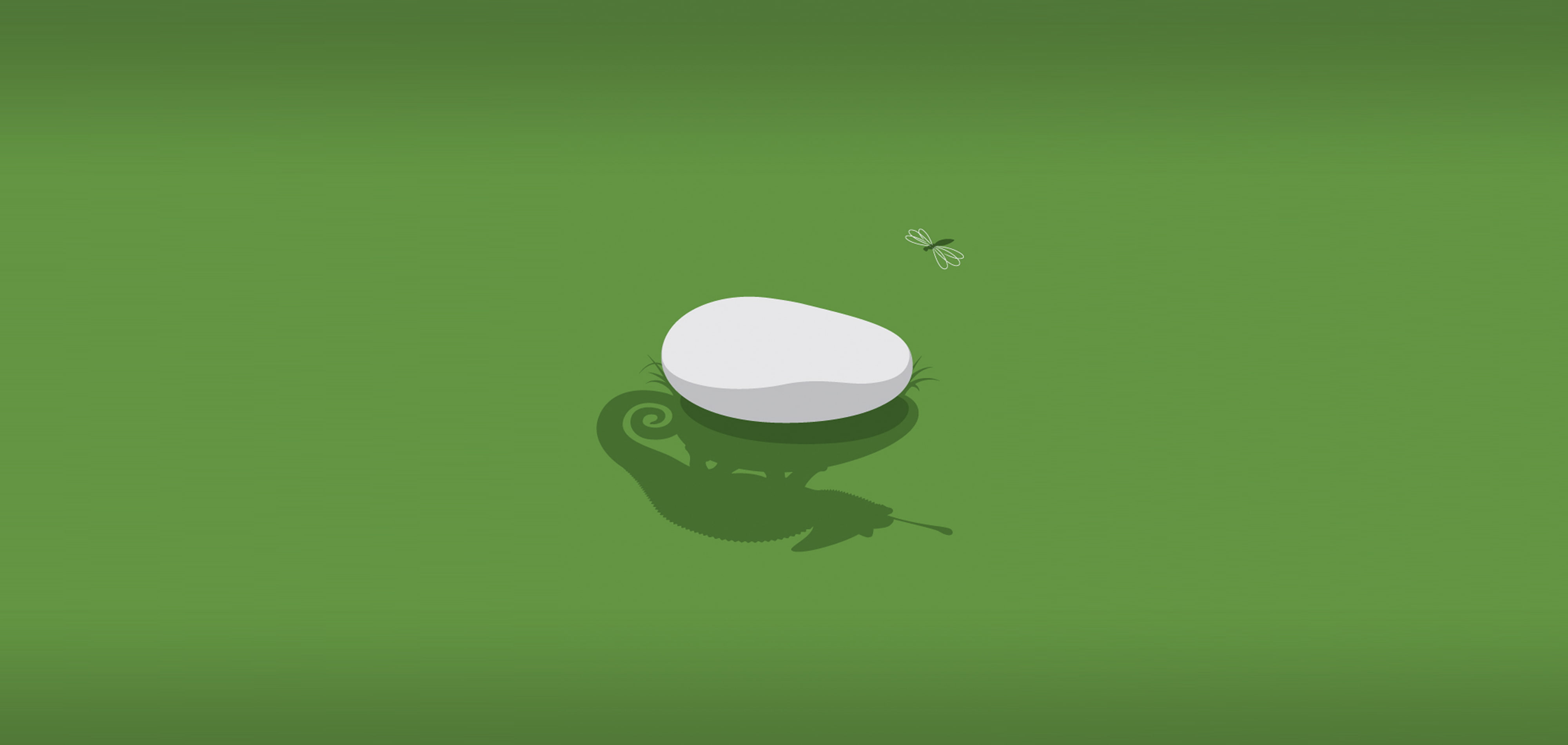 chameleon, stone, invisible, hunting, hidden, shadow, dragonfly, minimalism, 4K, nezhdanchik, conspiracy, grass, HD Wallpaper