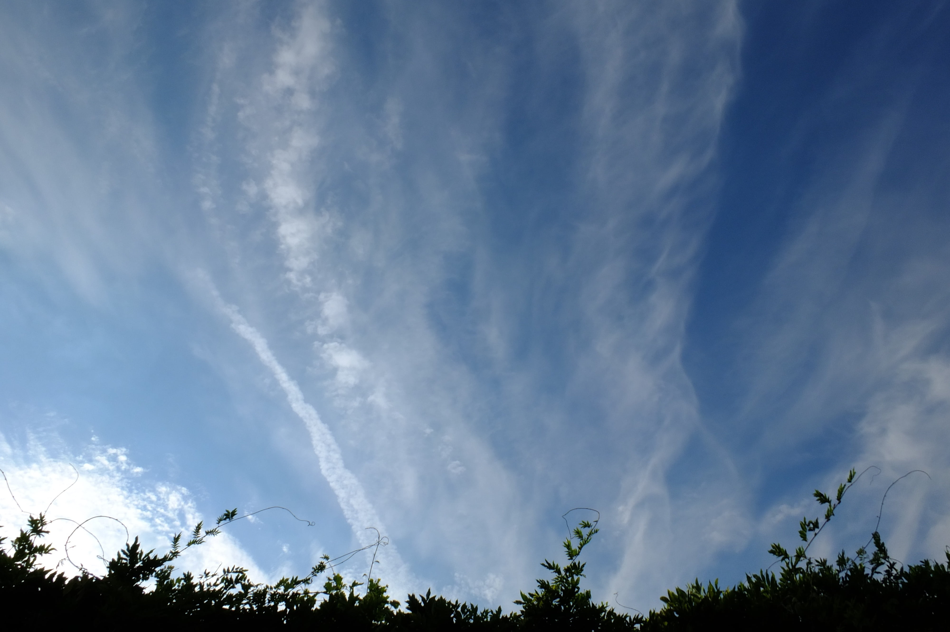 secret, 4K, scenics - nature, aviation fuel, mysterious, science, green color, blue, aircraft, outdoors, no people, tree, air traffic, cloud - sky, tranquil scene, HD Wallpaper