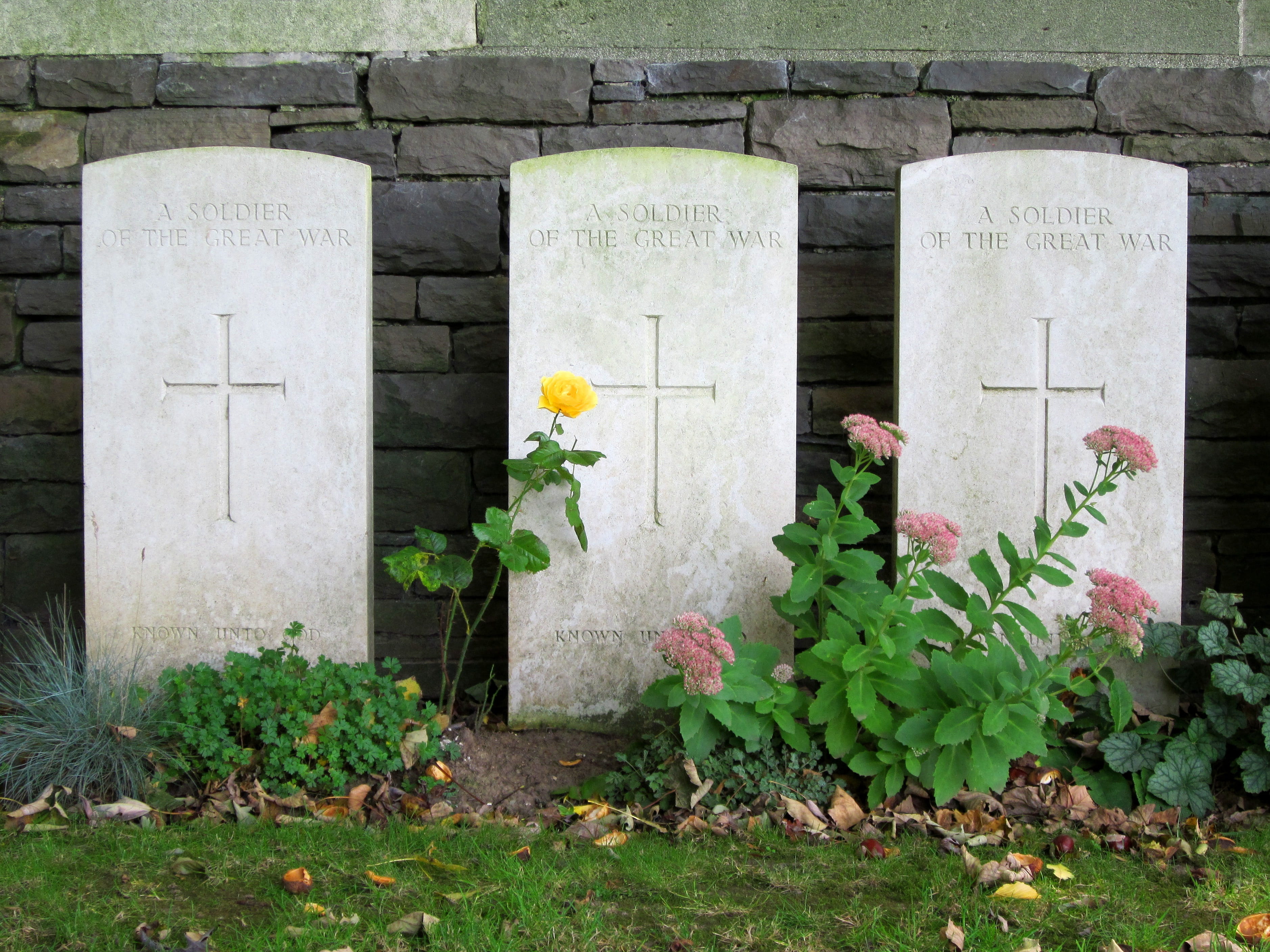 architecture, graves, canadian, graveyard, 2K, the past, flowering plant, no people, nature, soldiers, neuville-st -vaast, flower, military, stone, history, HD Wallpaper