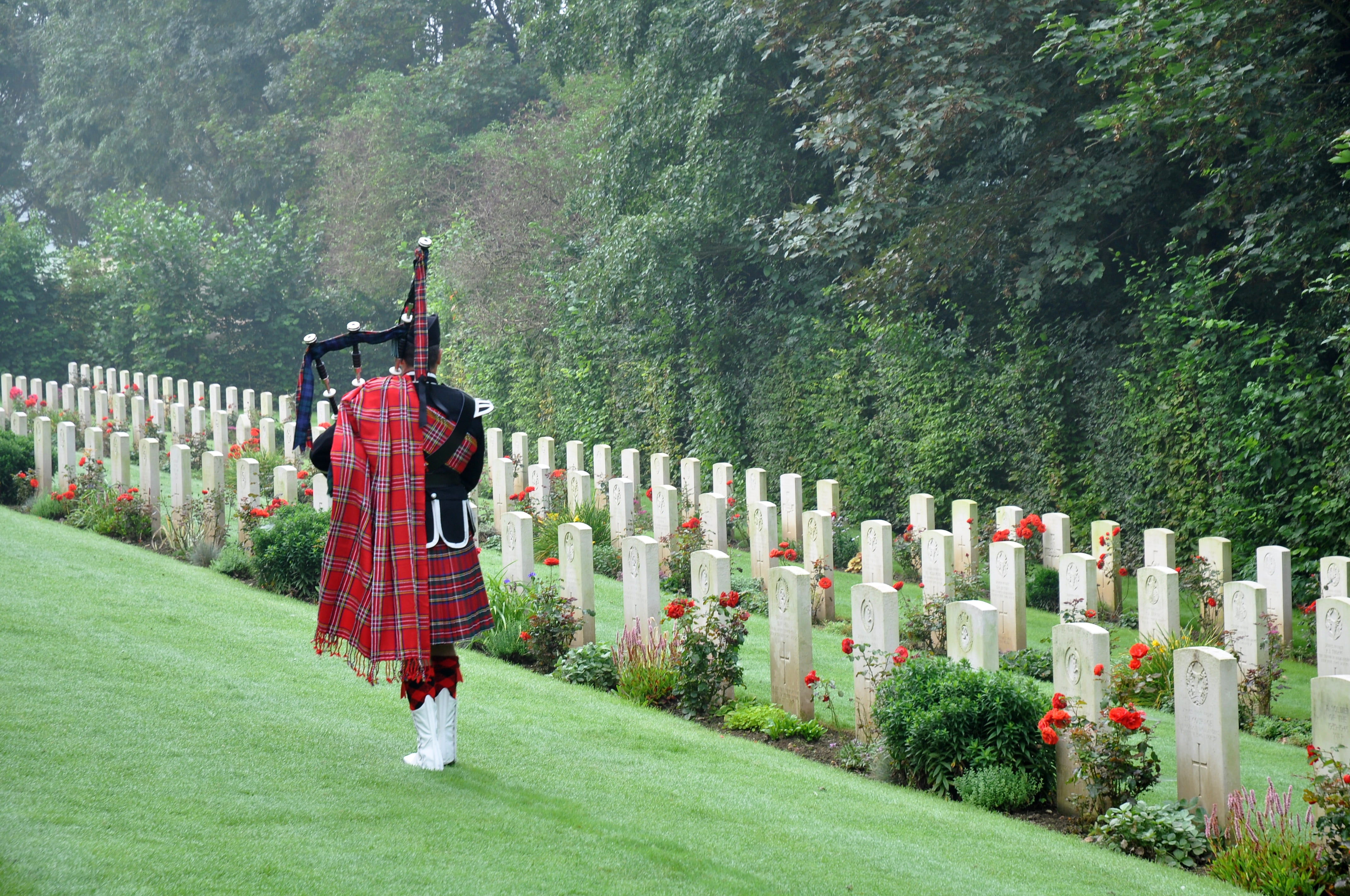 veteran, plant, grass, uniform, soldier, scotland, rip, real people, walking, memory, veterans, scépultures, nature, tree, military, green color, normandy, HD Wallpaper