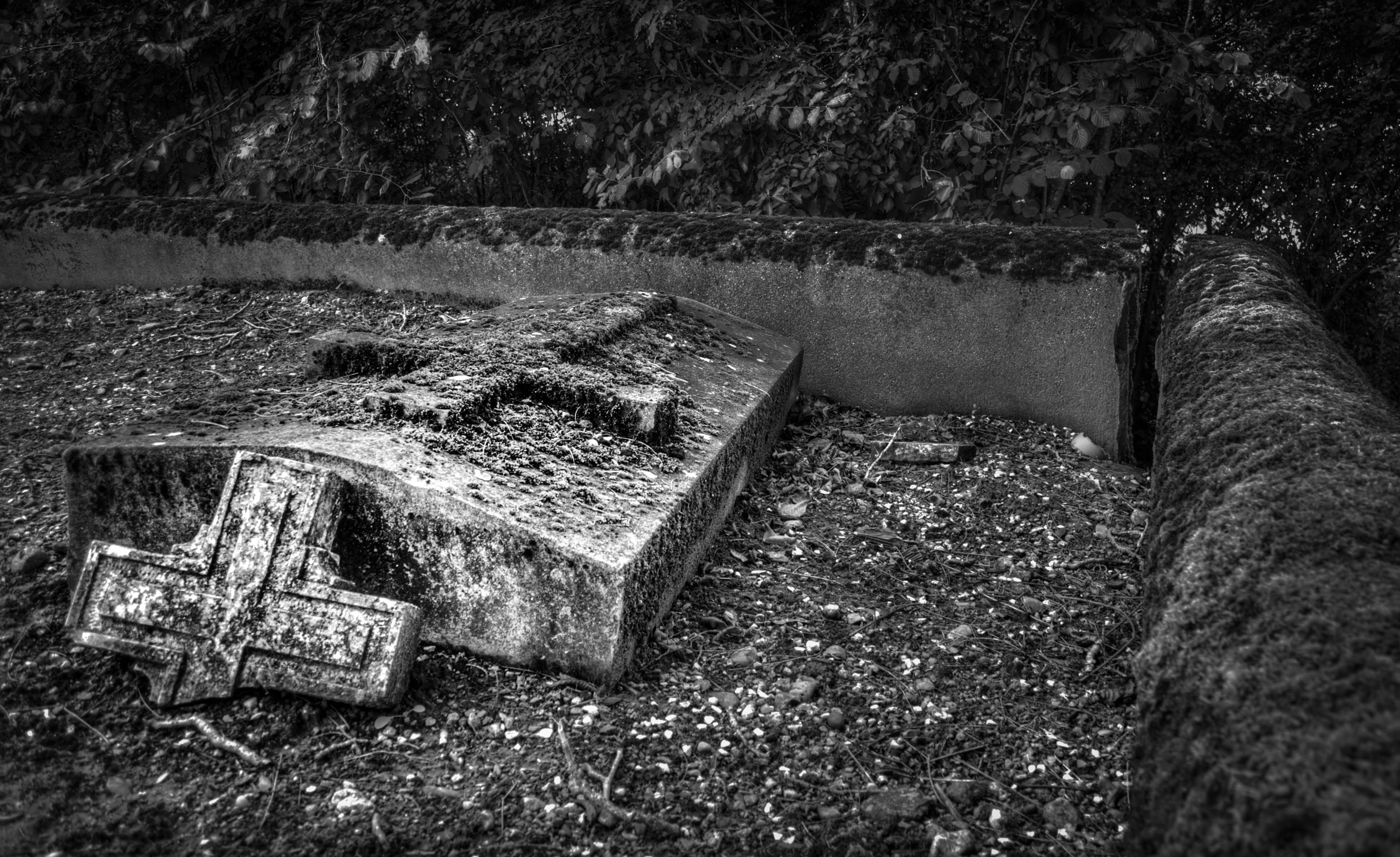 tombstone, Graves, dead, horror, creepy, damaged, ruined, nature, transportation, Tree, land, Graveyard, halloween, 4K, obsolete, abandoned, high angle view, HD Wallpaper