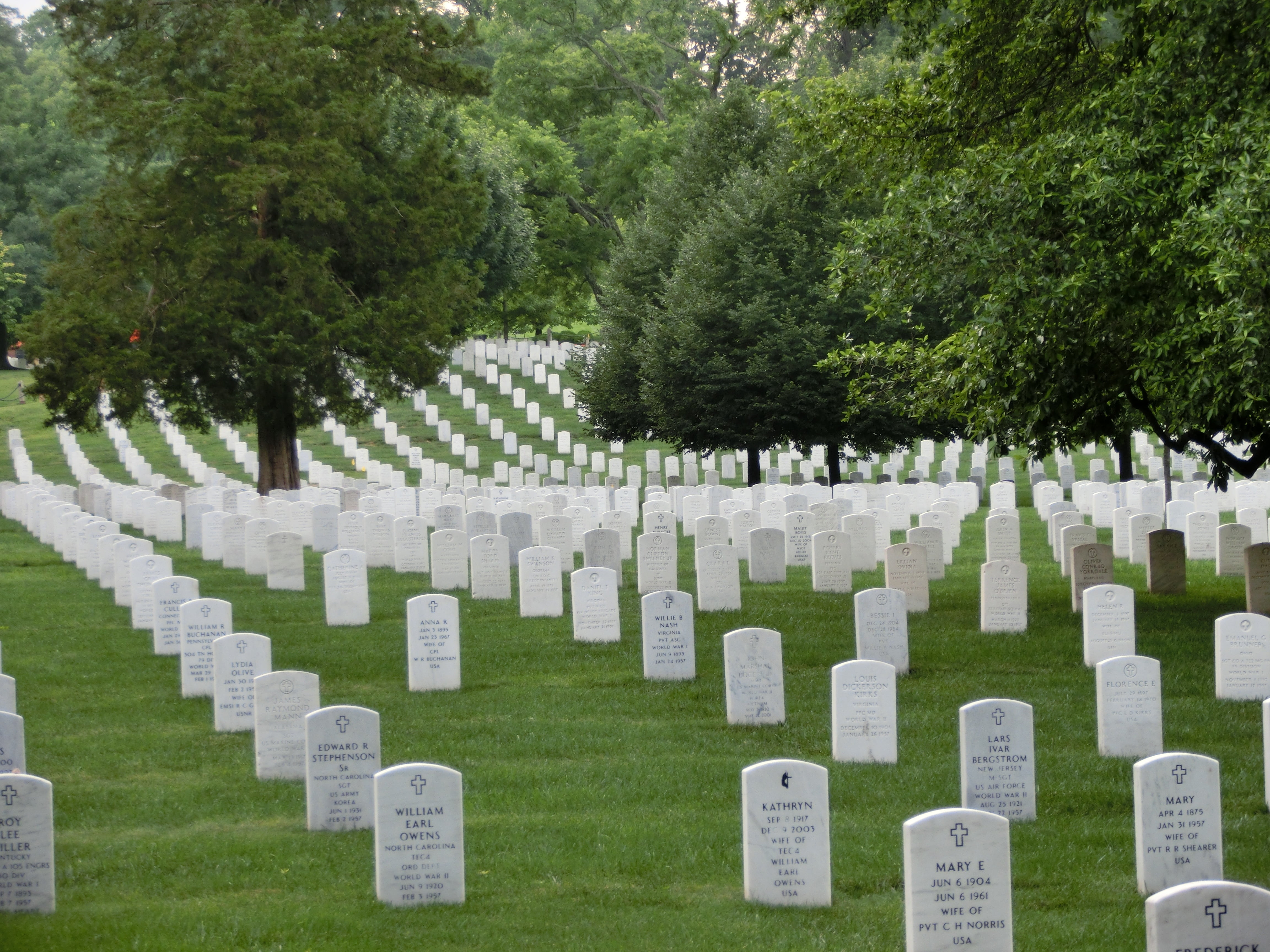 nature, victims, dead, favor, memorial, outdoors, stone, washington, grave, plant, soldiers, emotion, graves, no people, grass, america, war, government, HD Wallpaper
