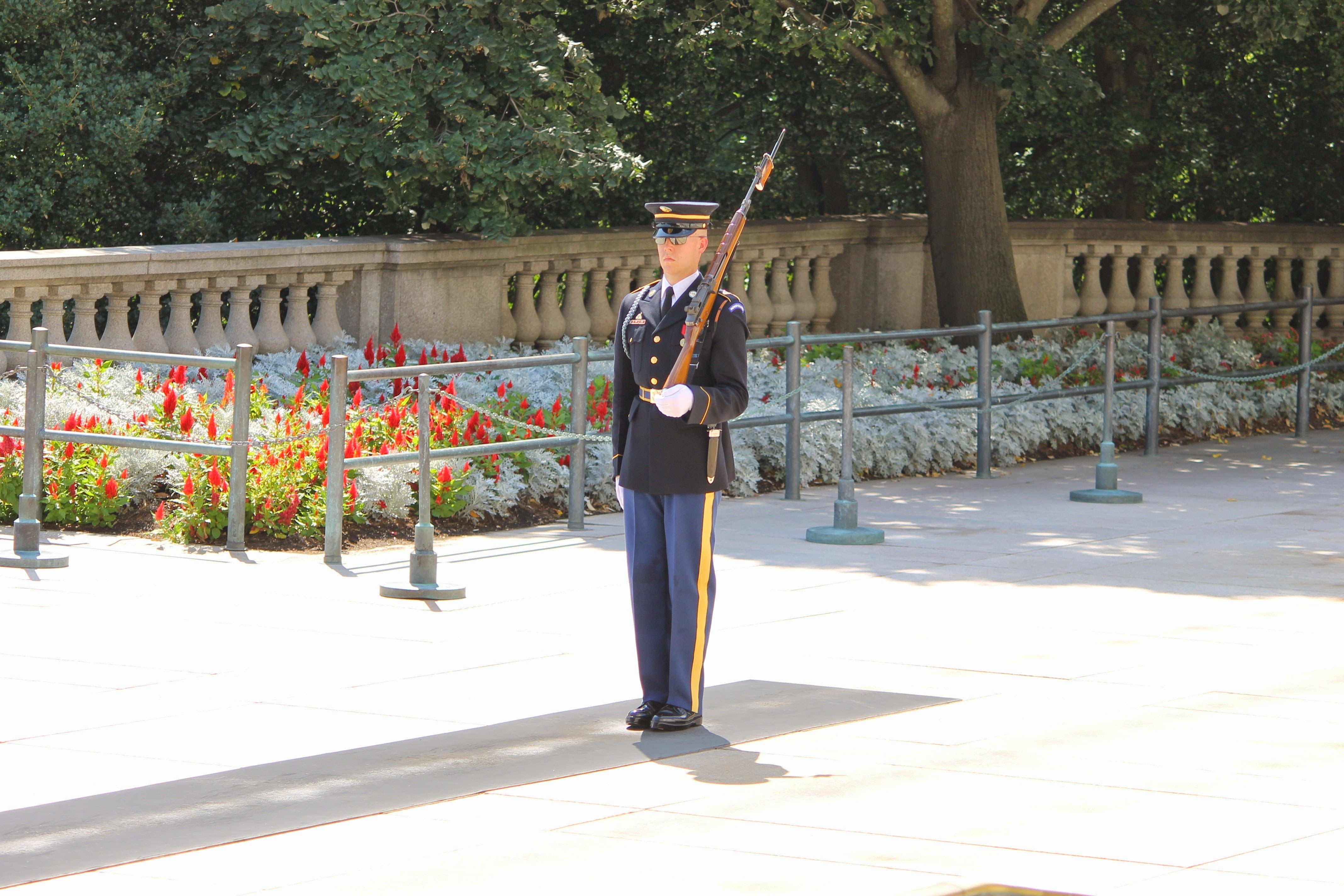 clothing, shadow, ceremony, nature, sunlight, cemetery, rifle, real people, outdoors, railing, built structure, tree, full length, men, monument, memorial, HD Wallpaper