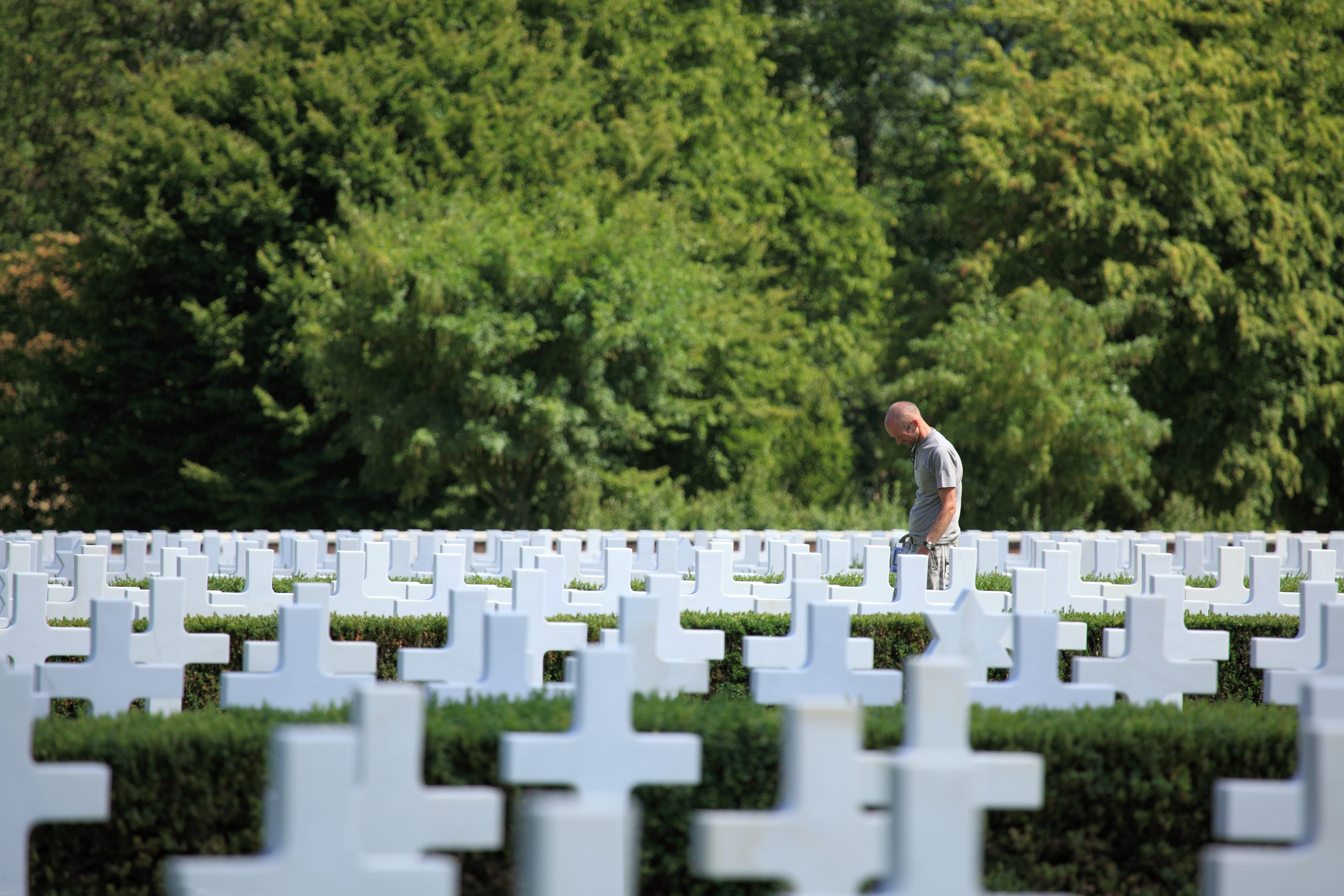 grief, side view, american, Cemetery, nature, tree, contemplation, memorial, symbol, Cross, plant, monument, stone, 5K, green color, Army, American, military, HD Wallpaper