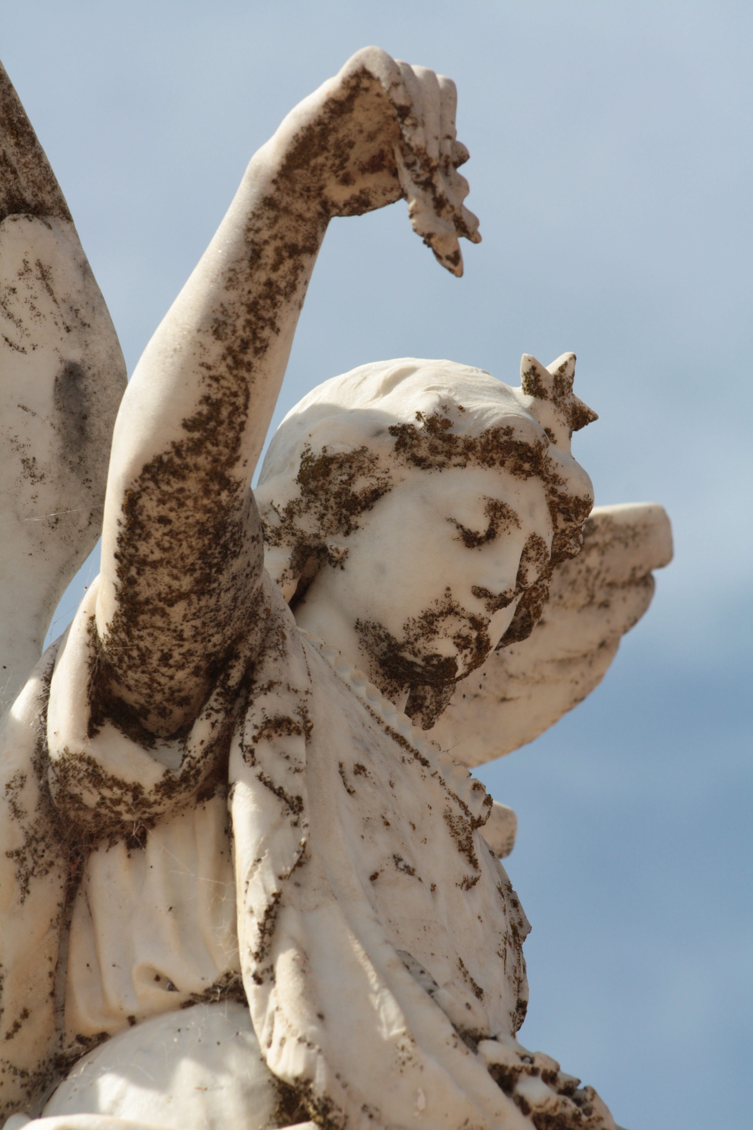 dead, face, funeral, old, 4K, animal themes, monument, day, sky, angelic, sad, christian, angel, cemetery, death, sadness, religious, creativity, nature, Phone HD Wallpaper