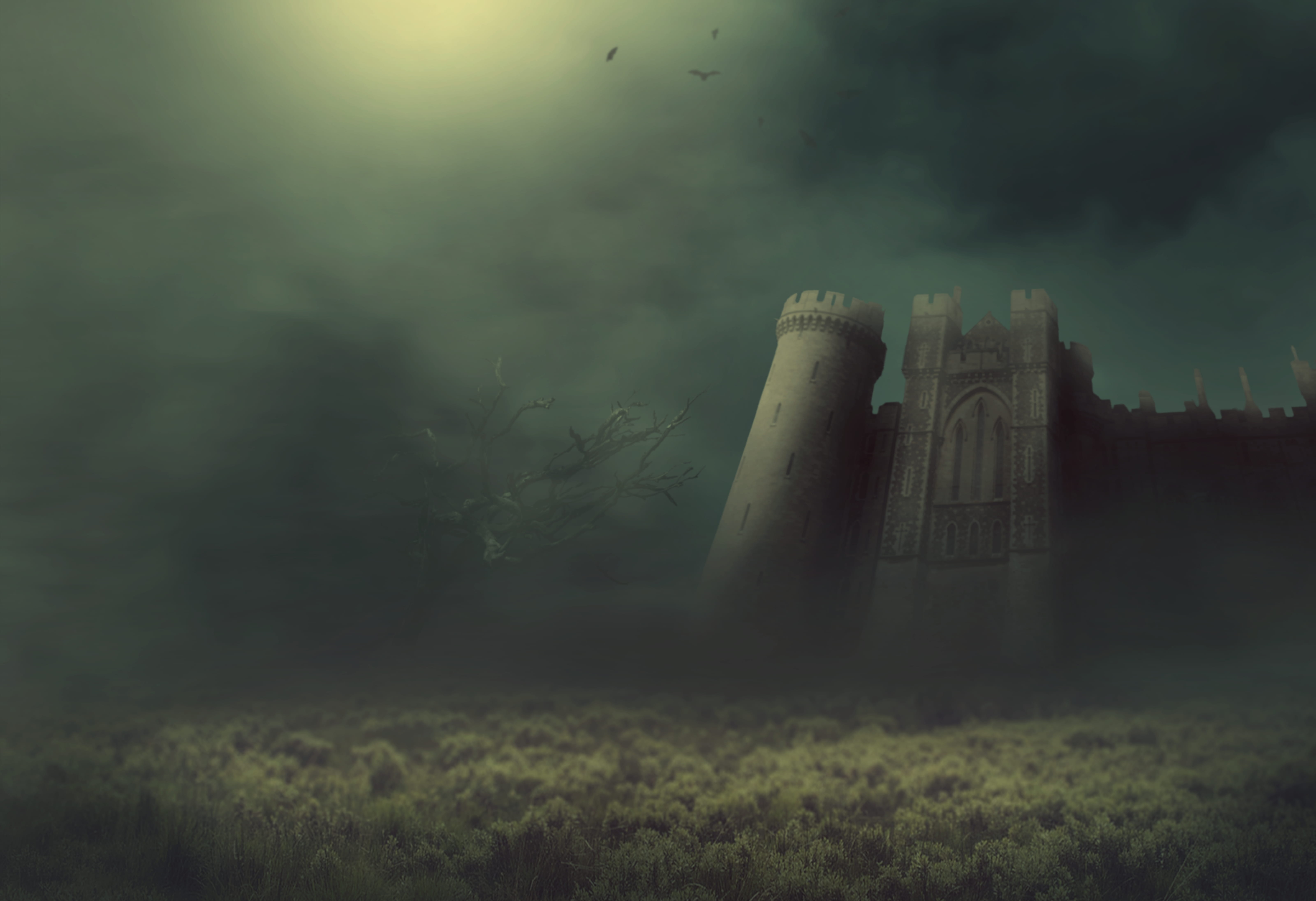 fog, bats, low angle view, cloud - sky, ghostly, building, day, surreal, plant, tree, environment, 5K, knights castle, castle, land, background image, HD Wallpaper
