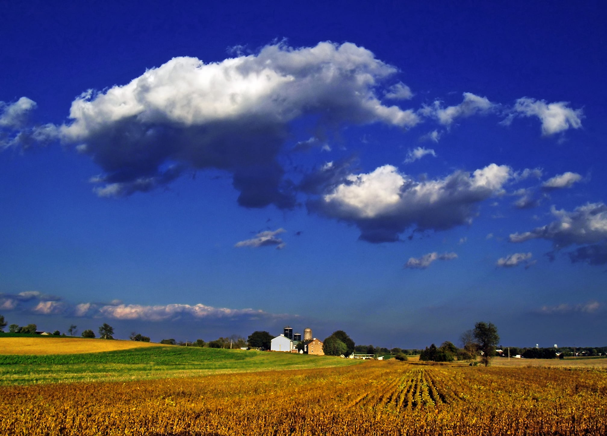 rice field, Pastoral, cloud - Sky, sky, summer, photography, outdoors, rice, blue, rural Scene, East Petersburg, nature, 1080P, Pennsylvania, farm, stock photography, HD Wallpaper