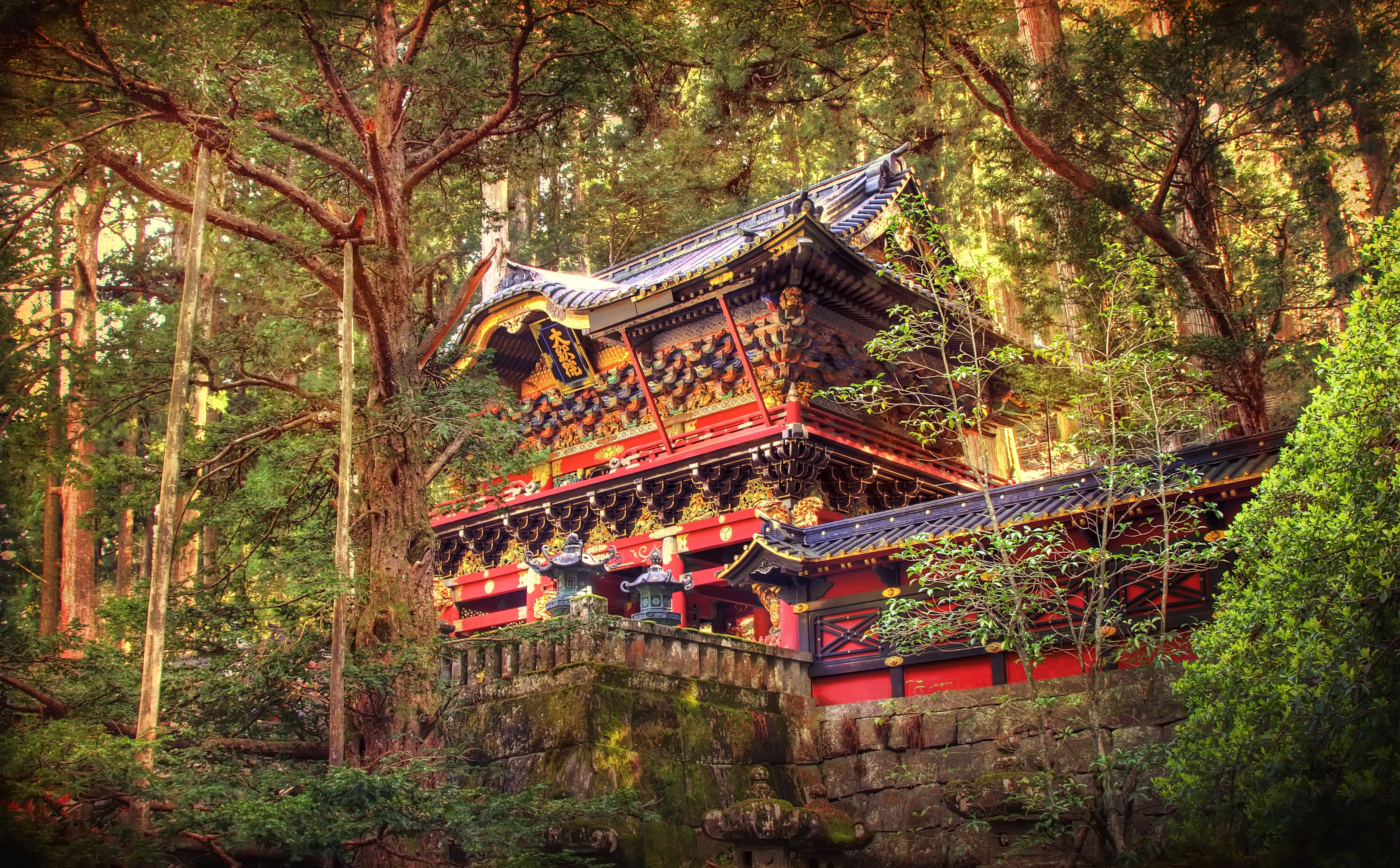 eaves, worldheritage, belief, canon7d, reibyo, Trees, outdoors, tree, Vintage, Forest, photomatix, nikkoshi, built structure, plant, growth, roof, low angle view, HD Wallpaper