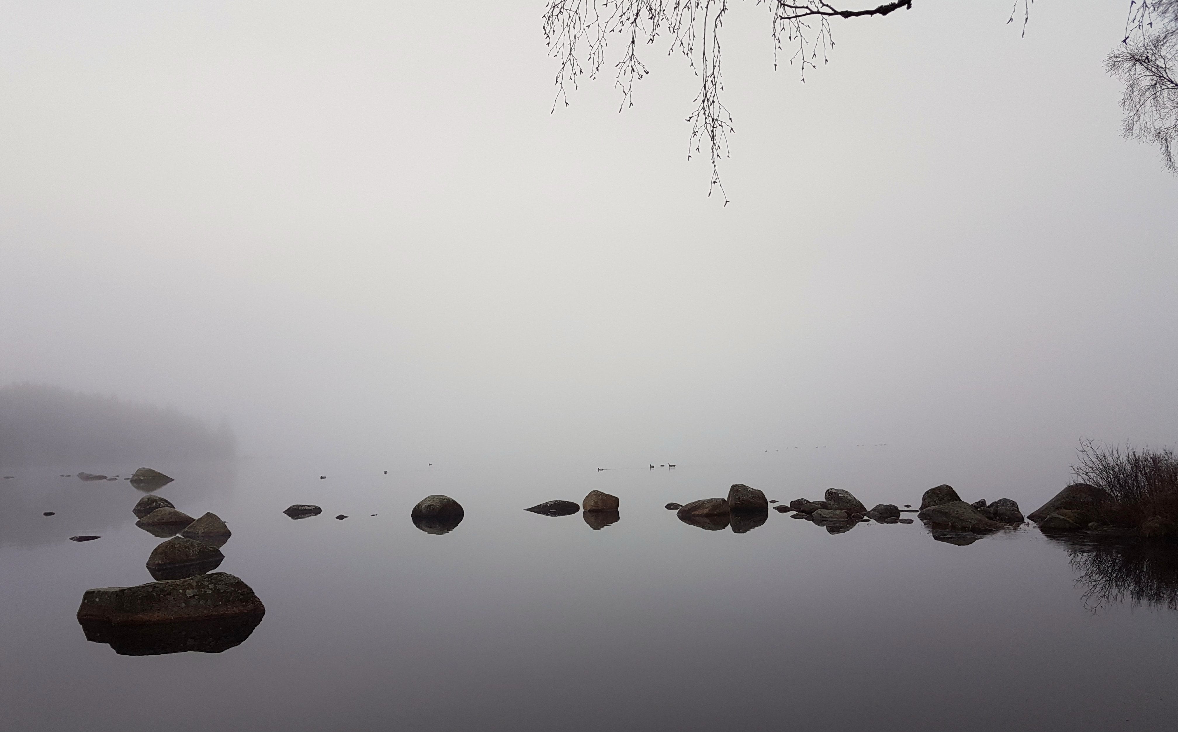 untitled, sweden, sverige, minimalism, nature, landscape, 4K, Serenity, water, natur, monochrome, växjö, reflection, HD Wallpaper