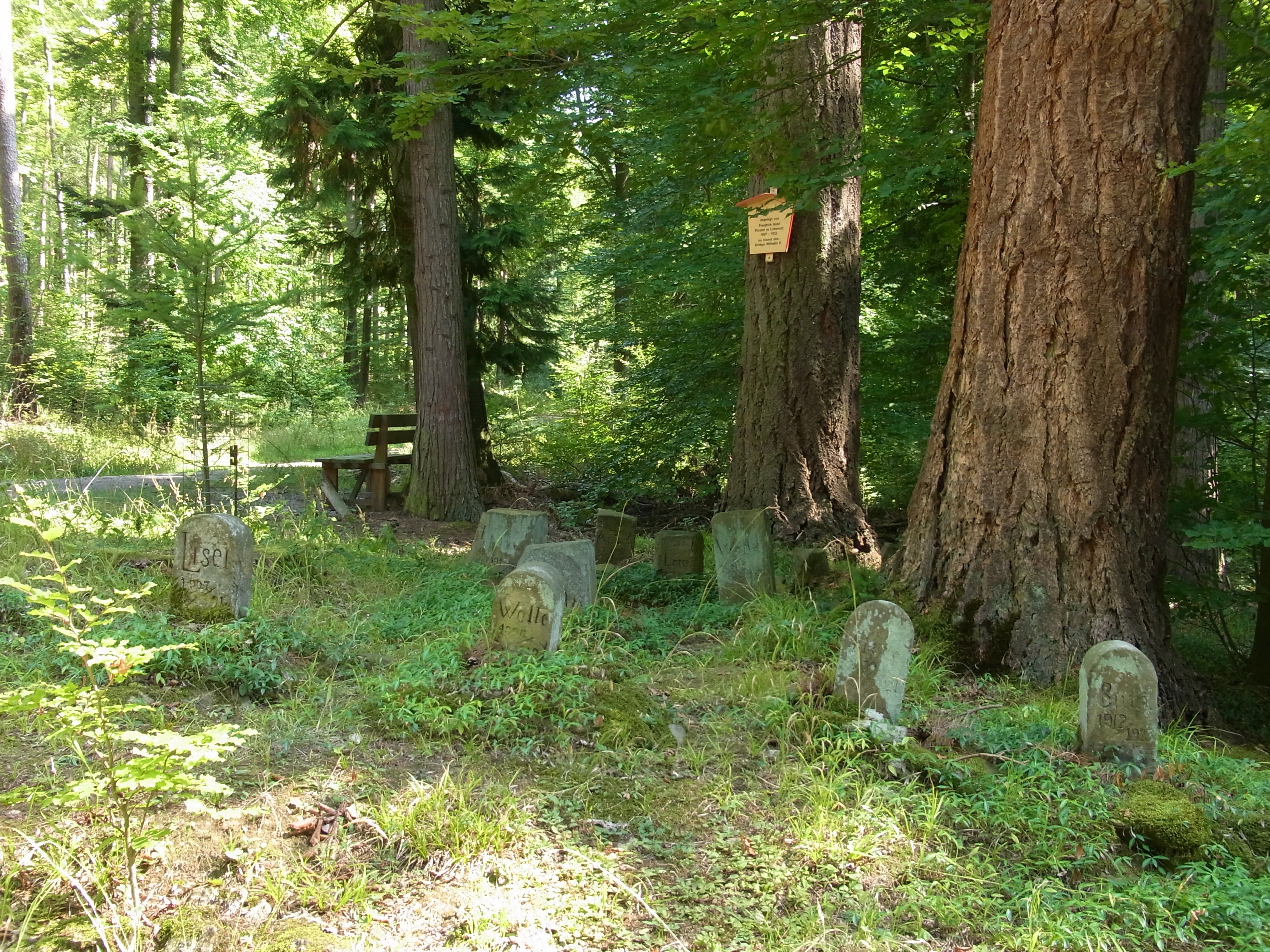 field, 2K, grass, peaceful, last calm, day, green color, no people, nature, grave, tree trunk, woodland, land, bark, outdoors, tombstone, tree, sand stone, HD Wallpaper