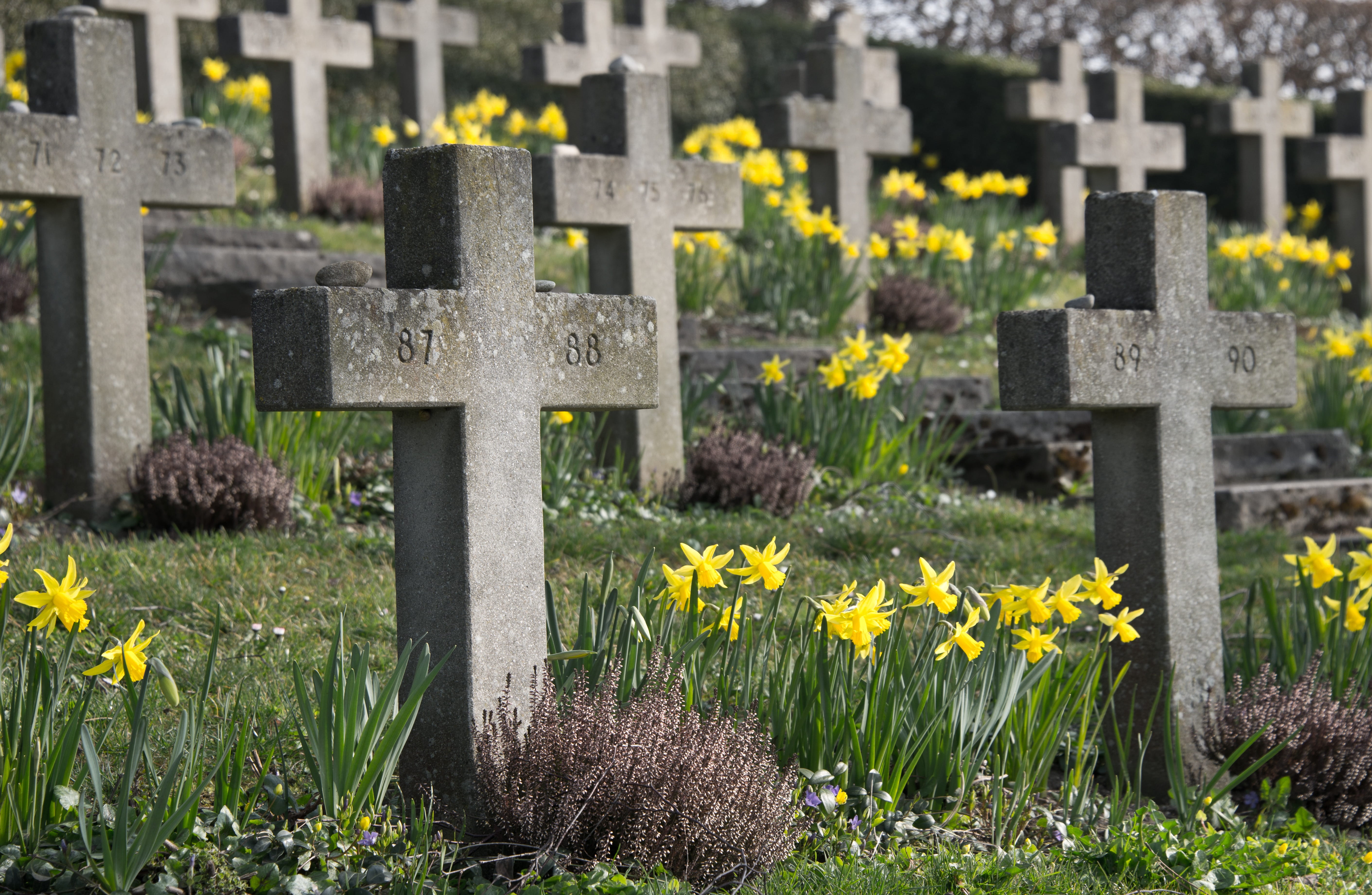 seelig, outdoors, springtime, stone, no people, nature, Cross, grave, architecture, emotion, uhrlingen, plant, grave stones, sand stone, Funeral, Birnau, HD Wallpaper