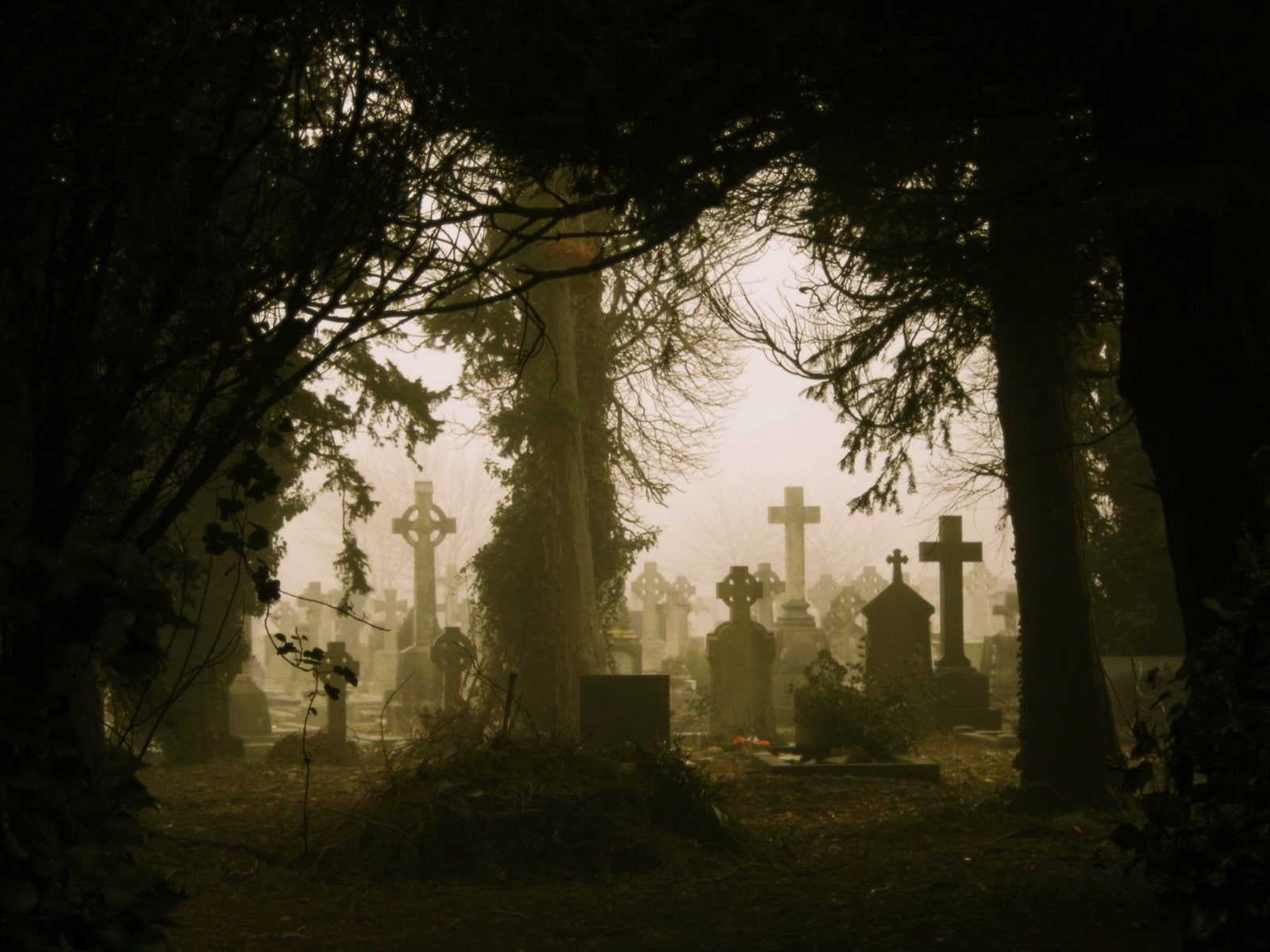 architecture, artwork, cemetery, the past, nature, no people, original, Dark, plant, outdoors, spooky, artistic, creepy, art, forest, scary, 720P, fantasy, HD Wallpaper