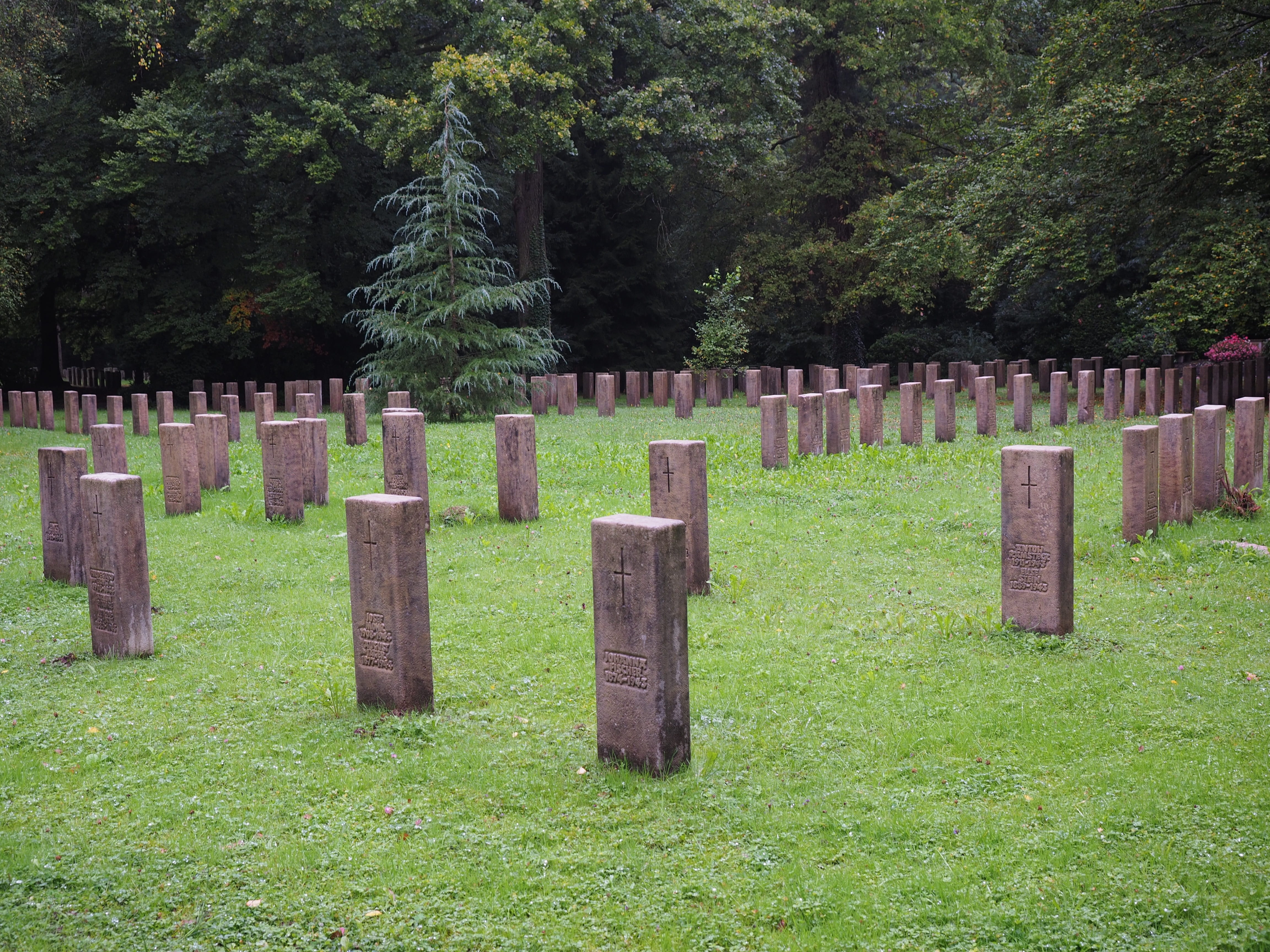 woodland cemetery, aviator prey field, religion, grave stones, soldiers graves, memorial, outdoors, forest cemetery stuttgart, day, 4K, resting place, HD Wallpaper