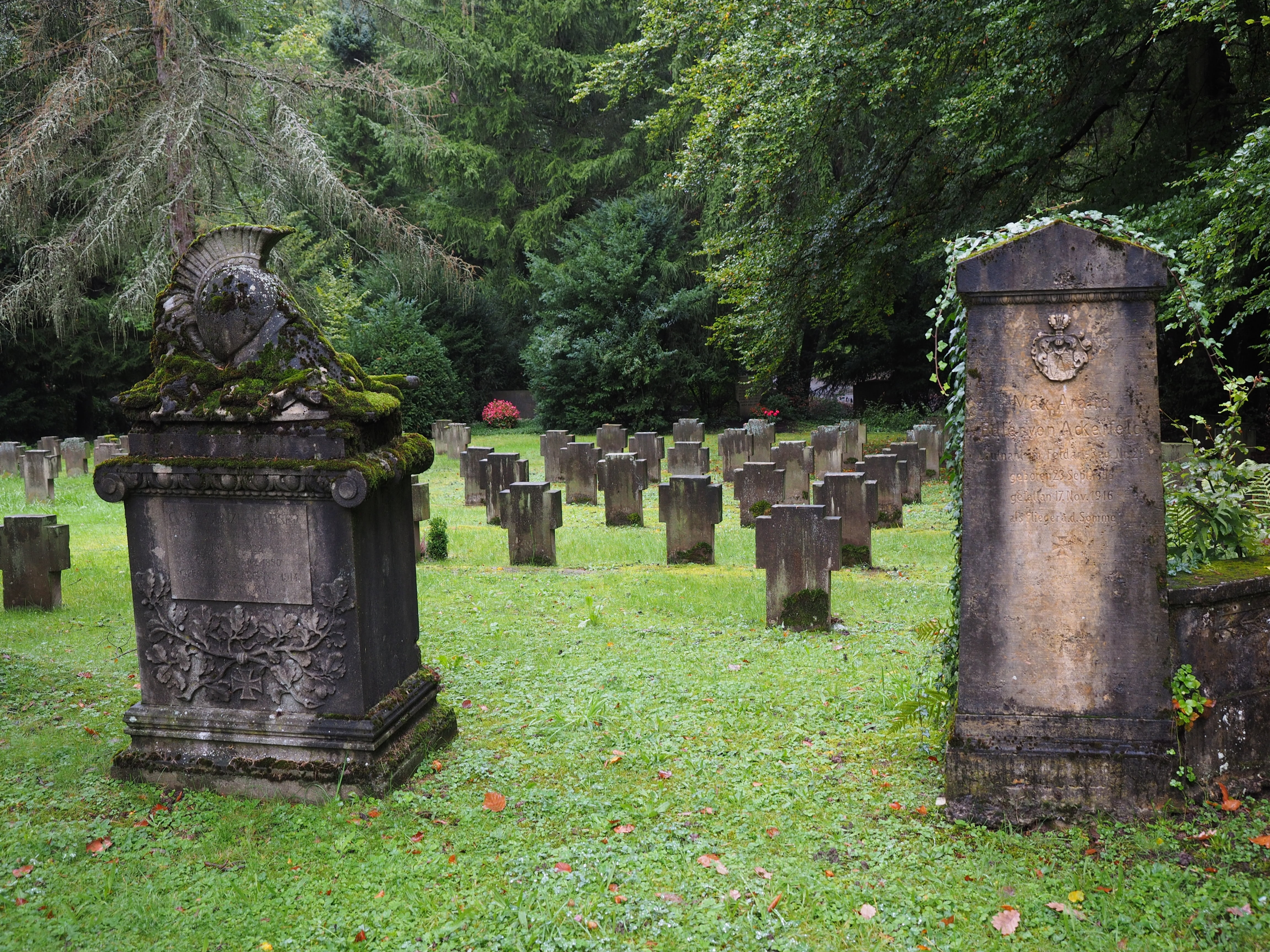 field, woodland cemetery, memorial, dark, soldiers graves, spirituality, architecture, past, resting place, tree, graves, last calm, forest cemetery stuttgart, HD Wallpaper