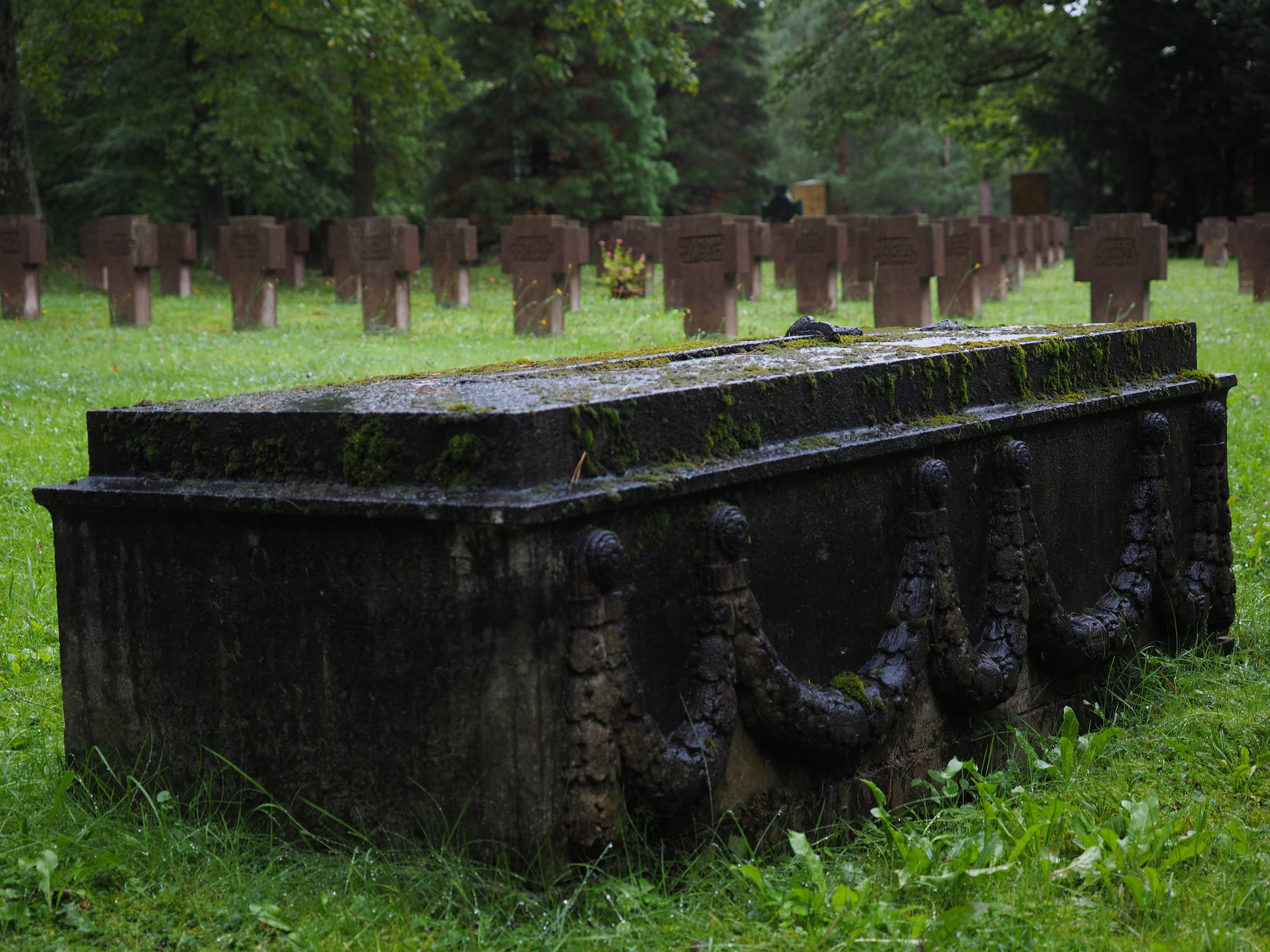 sadness, memorial, nature, forest cemetery stuttgart, 4K, tomb, last calm, grave, grass, history, grave stones, resting place, stone, tree, black, dark, HD Wallpaper