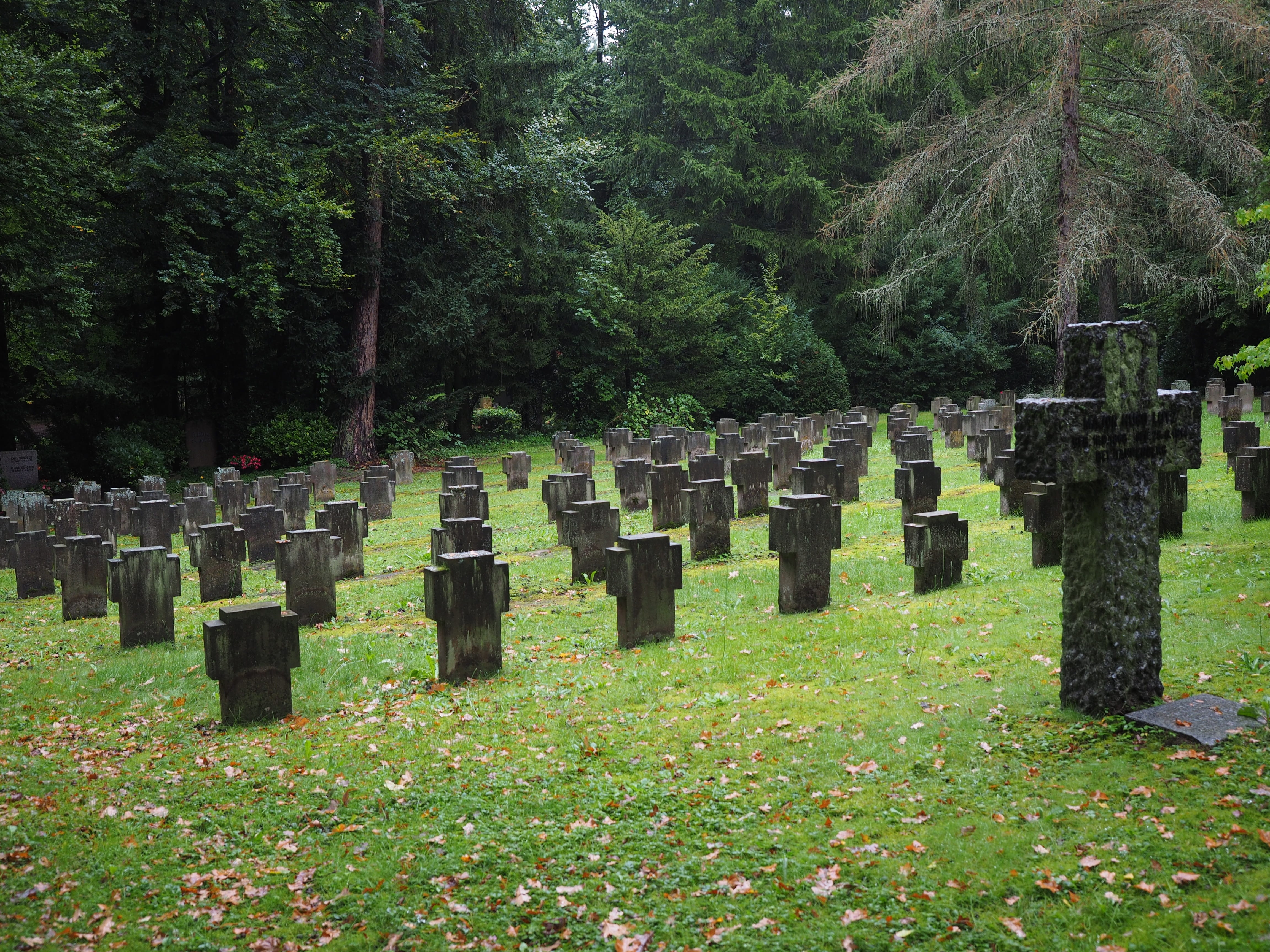 memorial, no people, place of Burial, Cenotaph, plant, outdoors, graveyard, tree, sadness, graves, rest In Peace, cemetery, last calm, Tombstone, woodland cemetery, HD Wallpaper
