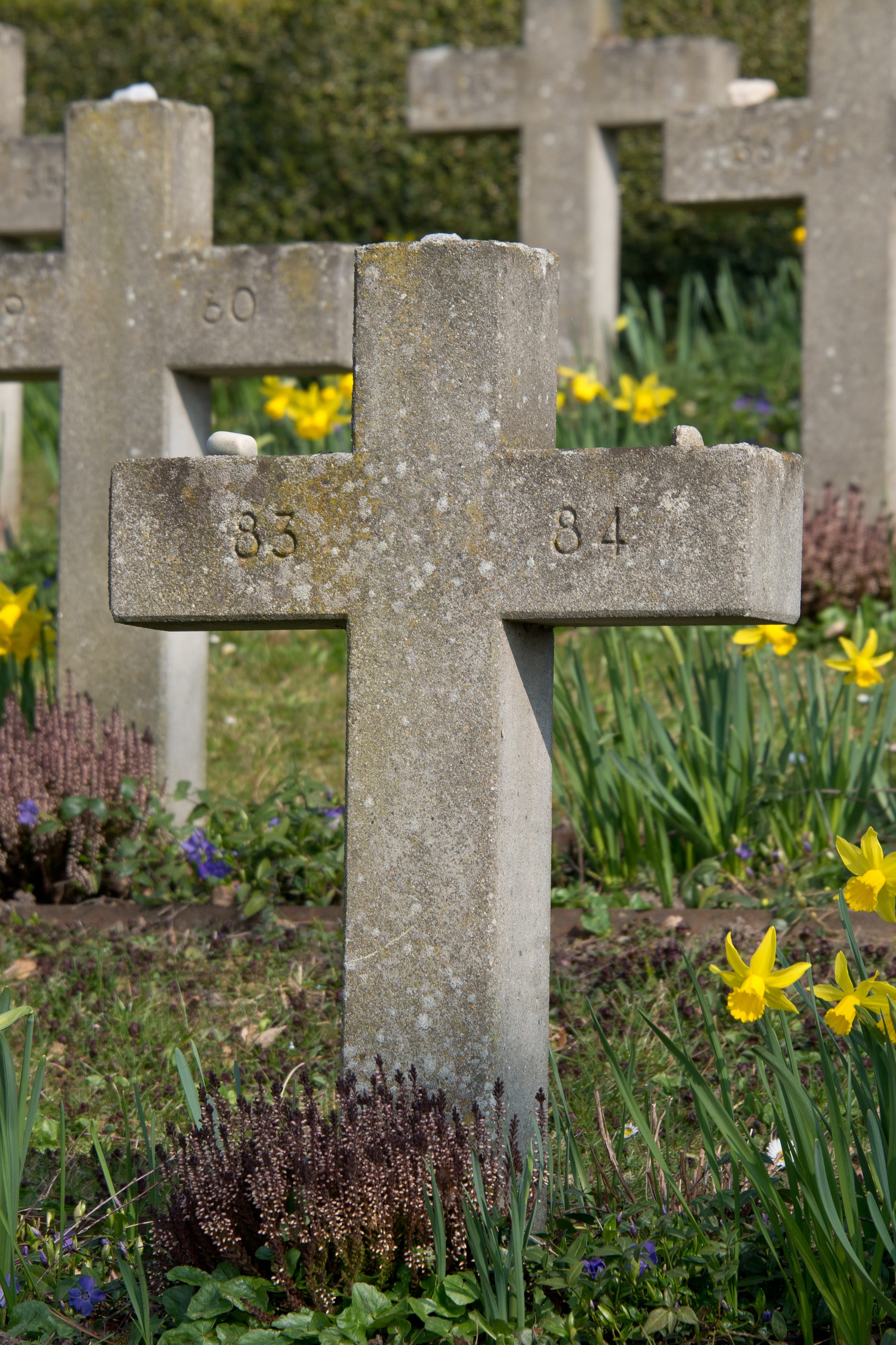 day, last calm, plant, crucifix, grave, graves, peaceful, memorial, lake constance, grave stones, forest, outdoors, Funeral, uhrlingen, sadness, woodland cemetery, Phone HD Wallpaper