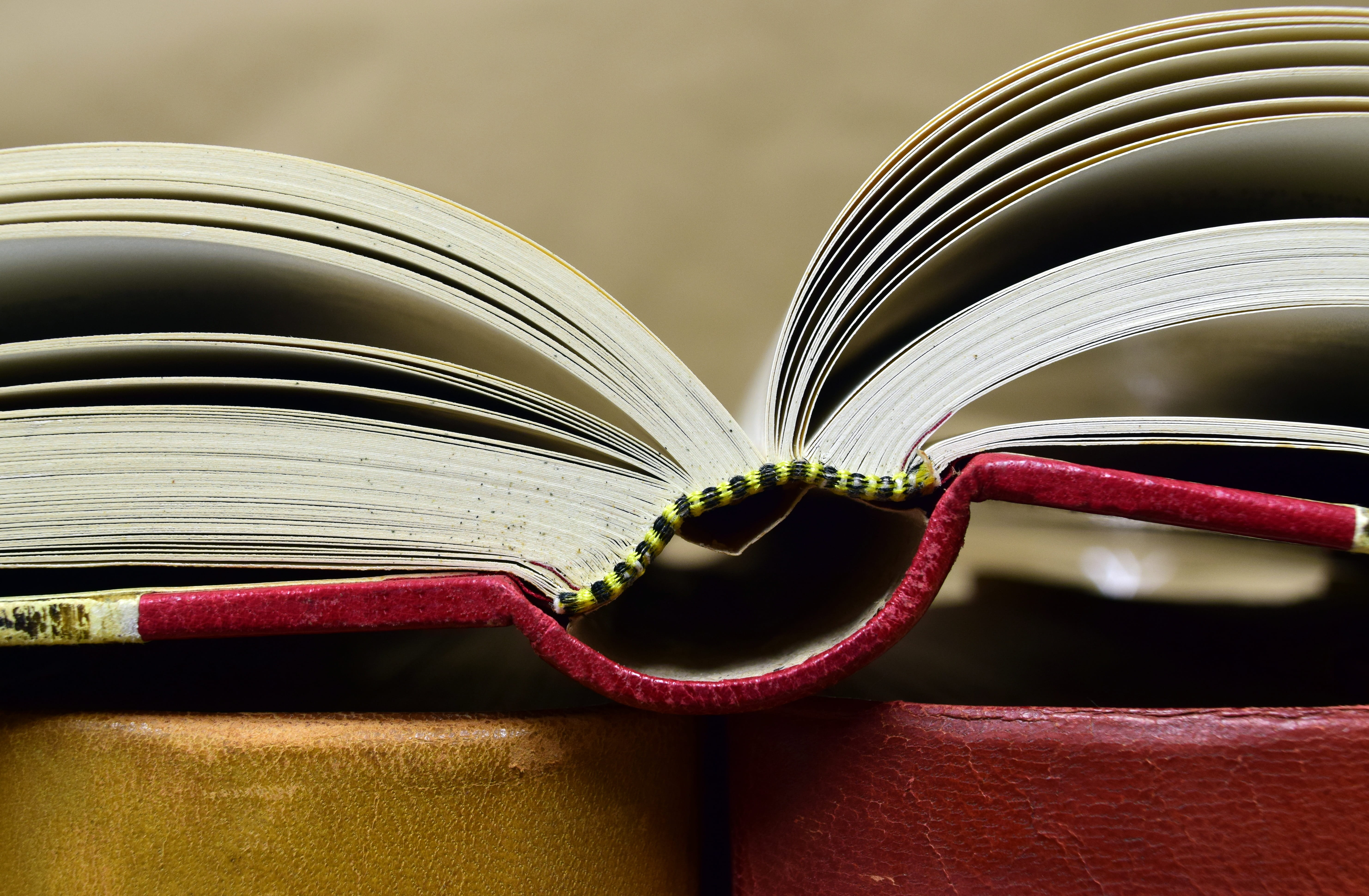 focus on foreground, book, close-up, old books, pitched, worn, open, old, 5K, still life, look up, pages, fashion, bound, studio shot, know, read, used books, HD Wallpaper