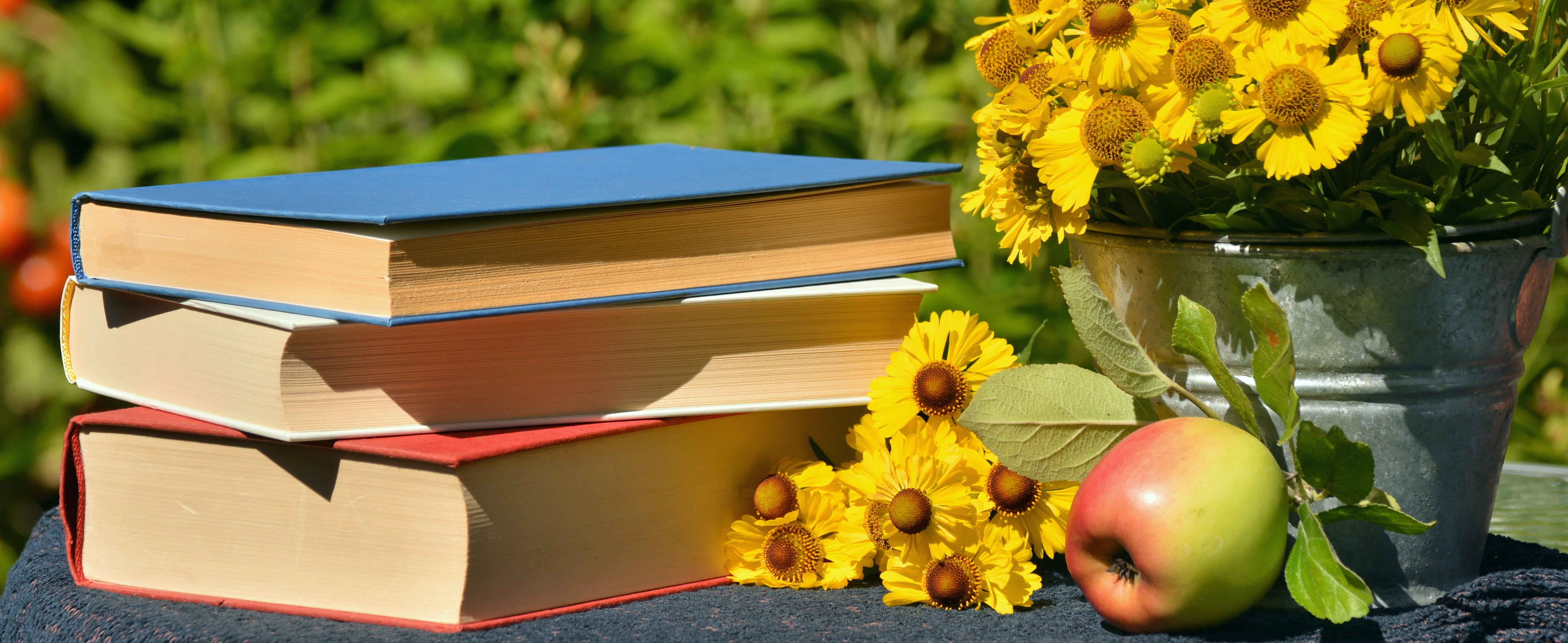 covered, food and drink, education, used books, apple, still life, two, read, nature, book, food, sun brews, garden, books, multi colored, beauty, yellow, HD Wallpaper