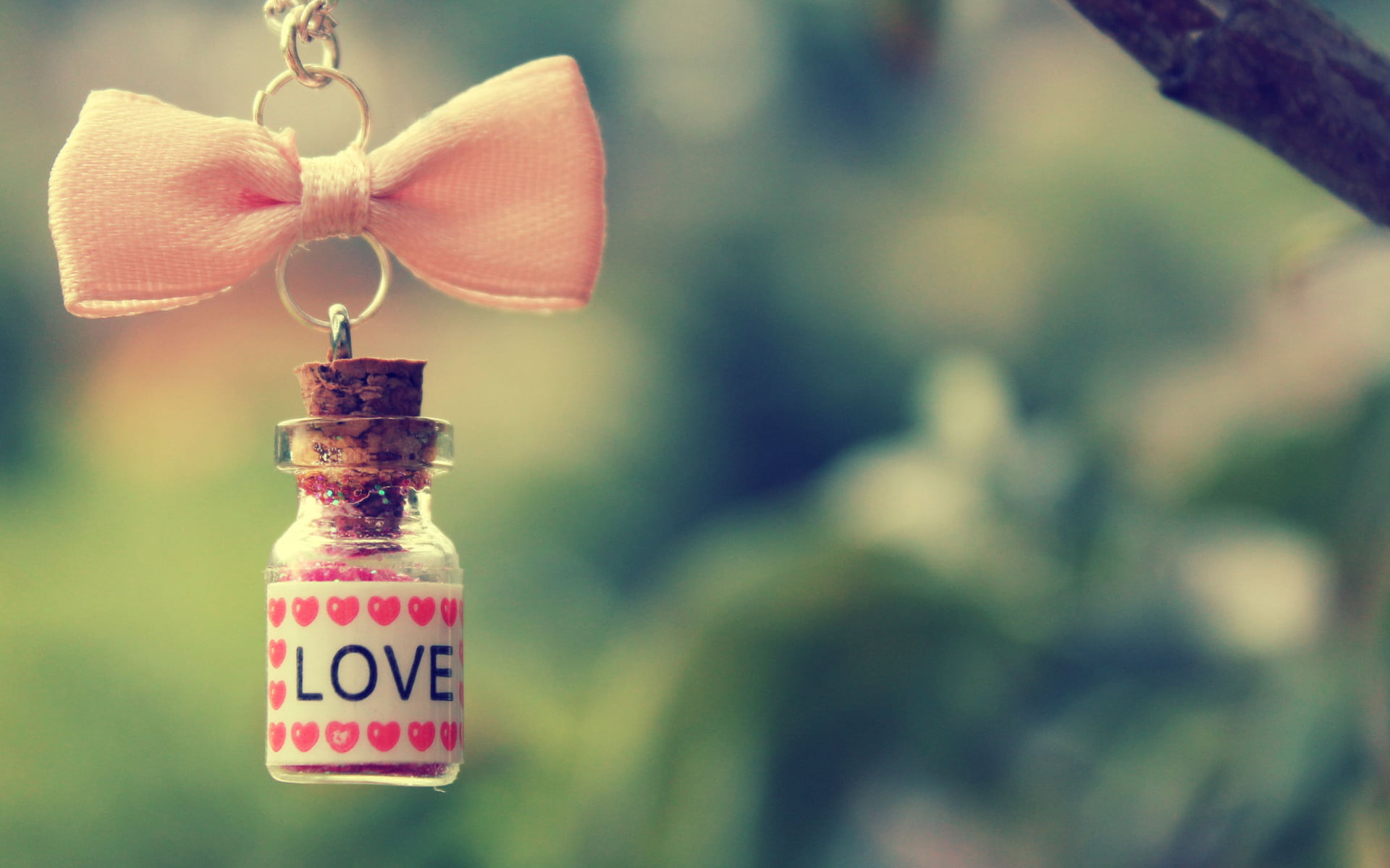 science, communication, focus on foreground, no people, Love, vial, nature, plant, bottle, flower, white, text, day, 1080P, container, hearts, freshness, HD Wallpaper