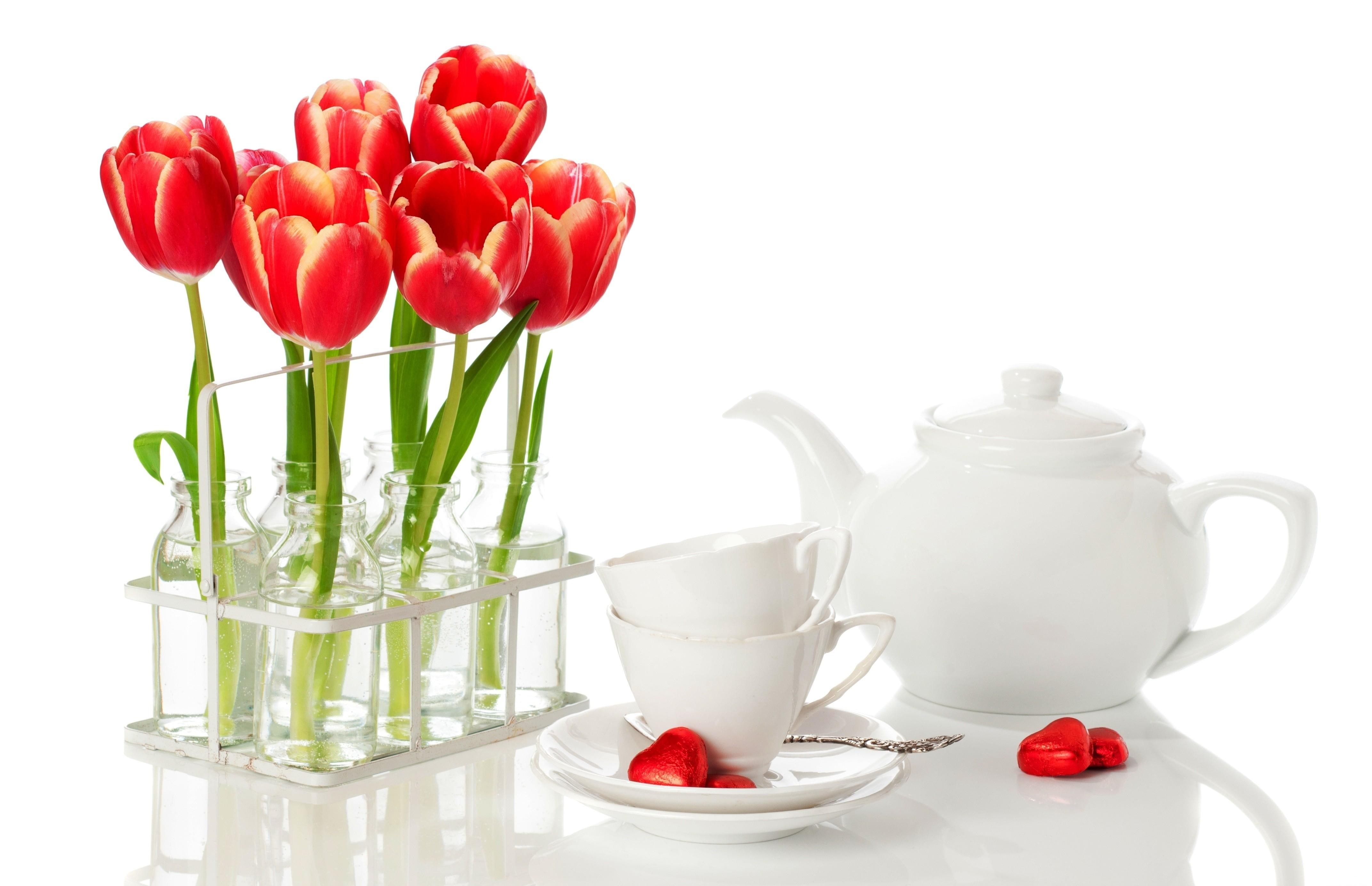 tulip, nature, Tulips, no people, red, petal, beauty in nature, flower, studio shot, flower head, plant, container, crockery, freshness, vase, indoors, HD Wallpaper