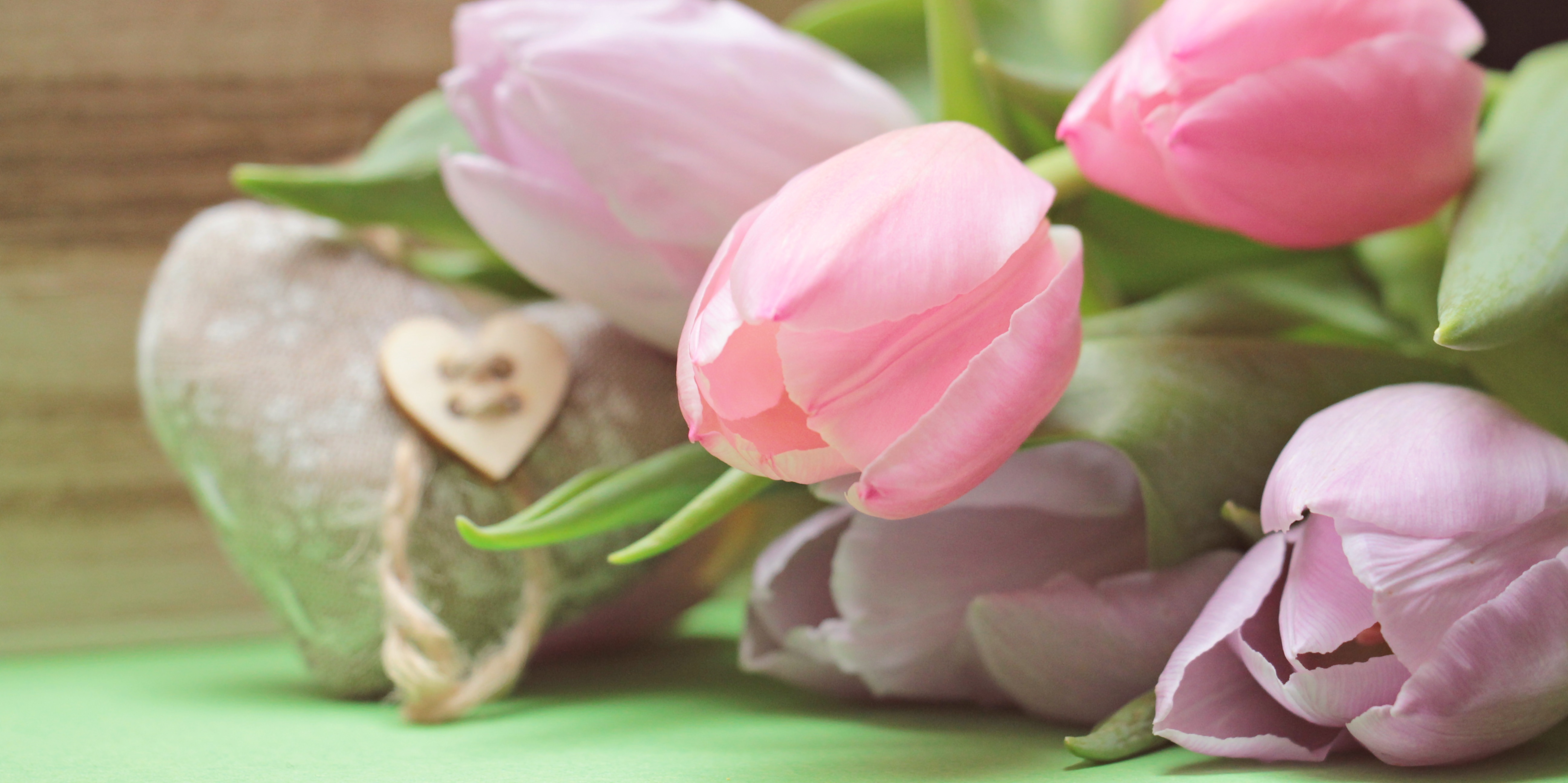 romantic, rose - flower, schnittblume, tulip, light pink, petal, focus, purple, still life, plant, tulips, no people, flower Head, bouquet, decoration, HD Wallpaper
