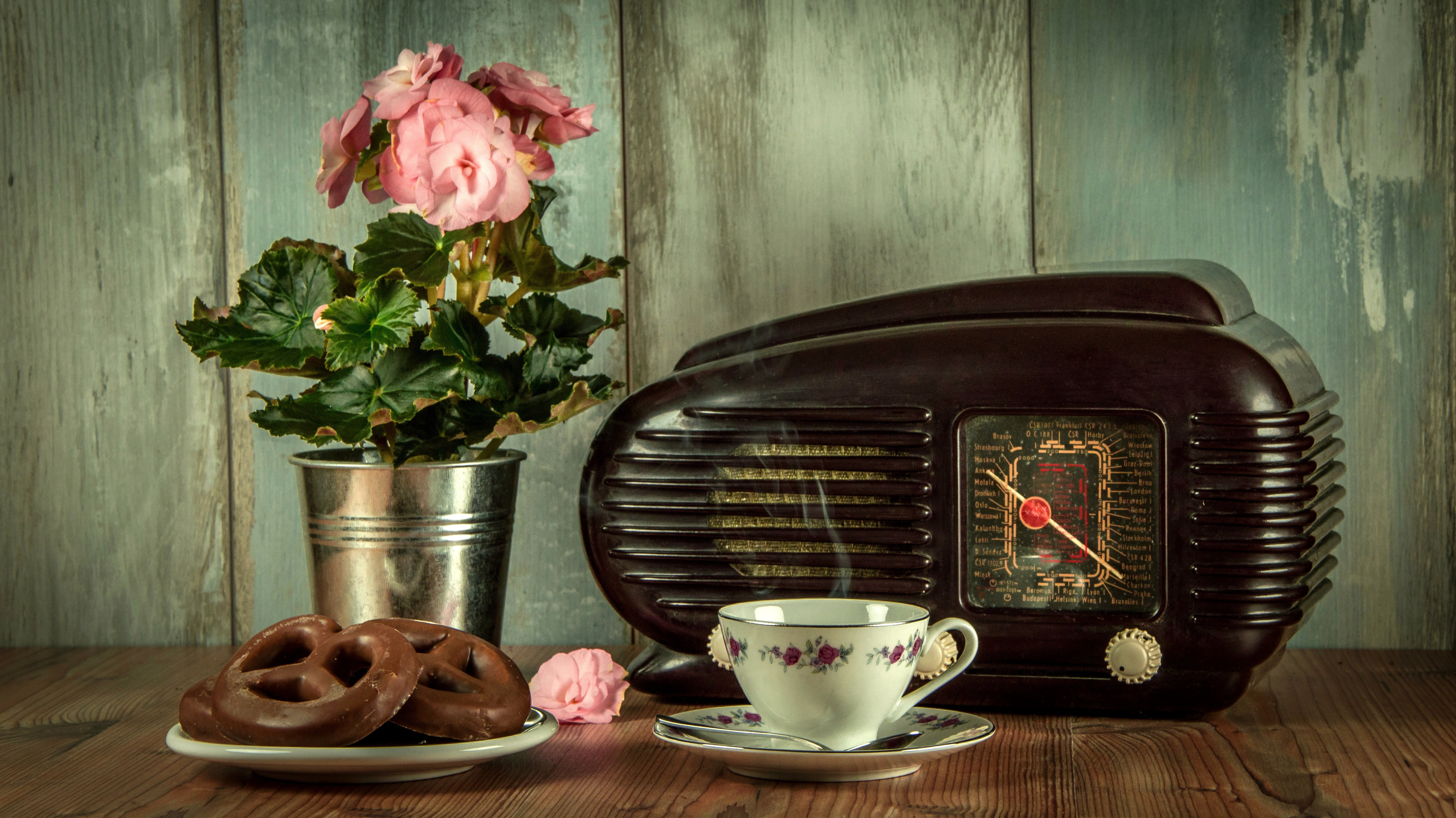 black, radio, old-fashioned, old, history, rose, brown, a cup of, vintage, flower pot, wood - material, coffee, ceramic, refreshment, freshness, museum, HD Wallpaper