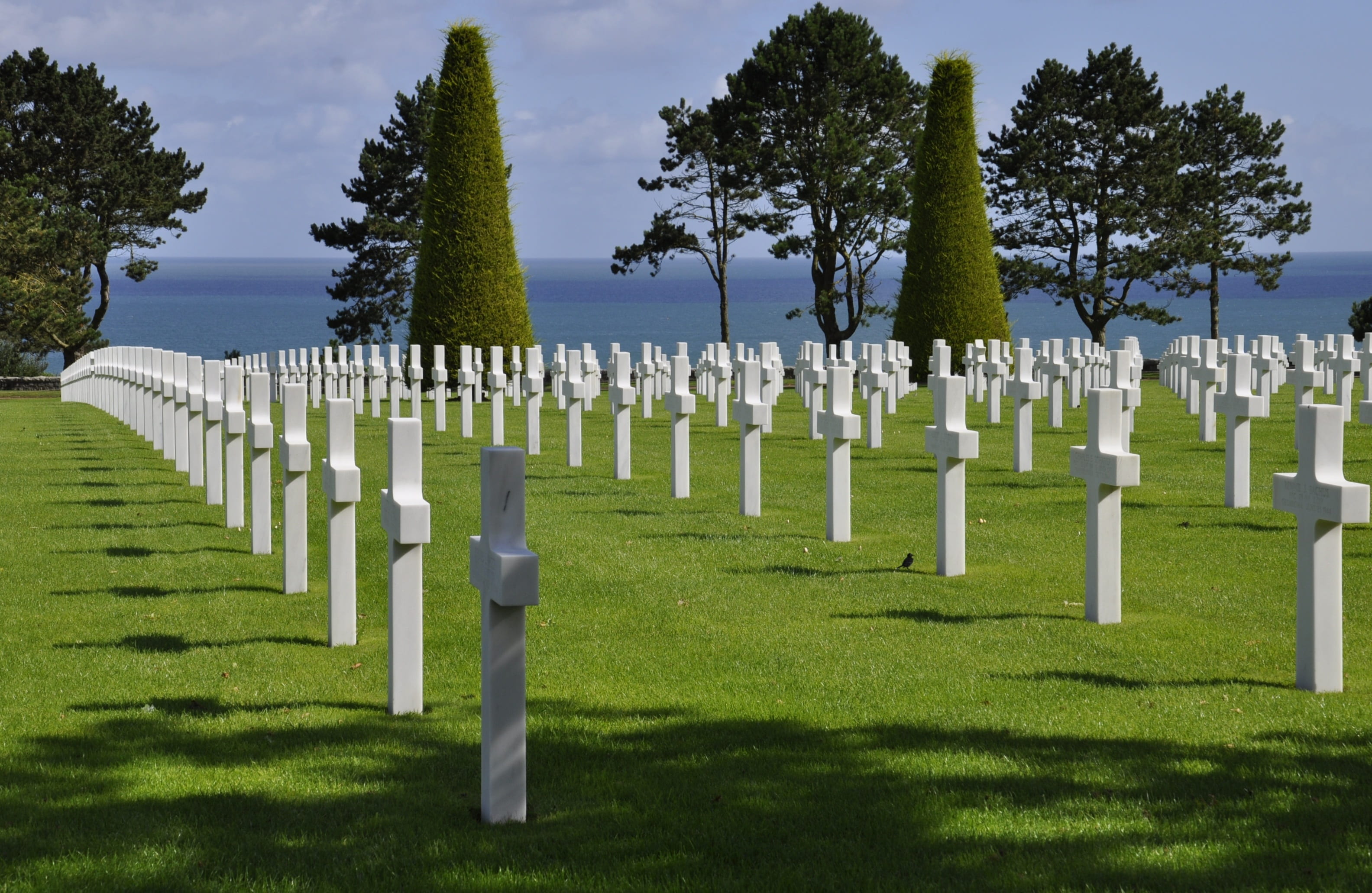 outdoors, no people, dday, history, white color, 2K, tombstone, grave, nature, omaha beach, grass, day, tree, the past, cross, sunlight, normandy, stone, HD Wallpaper