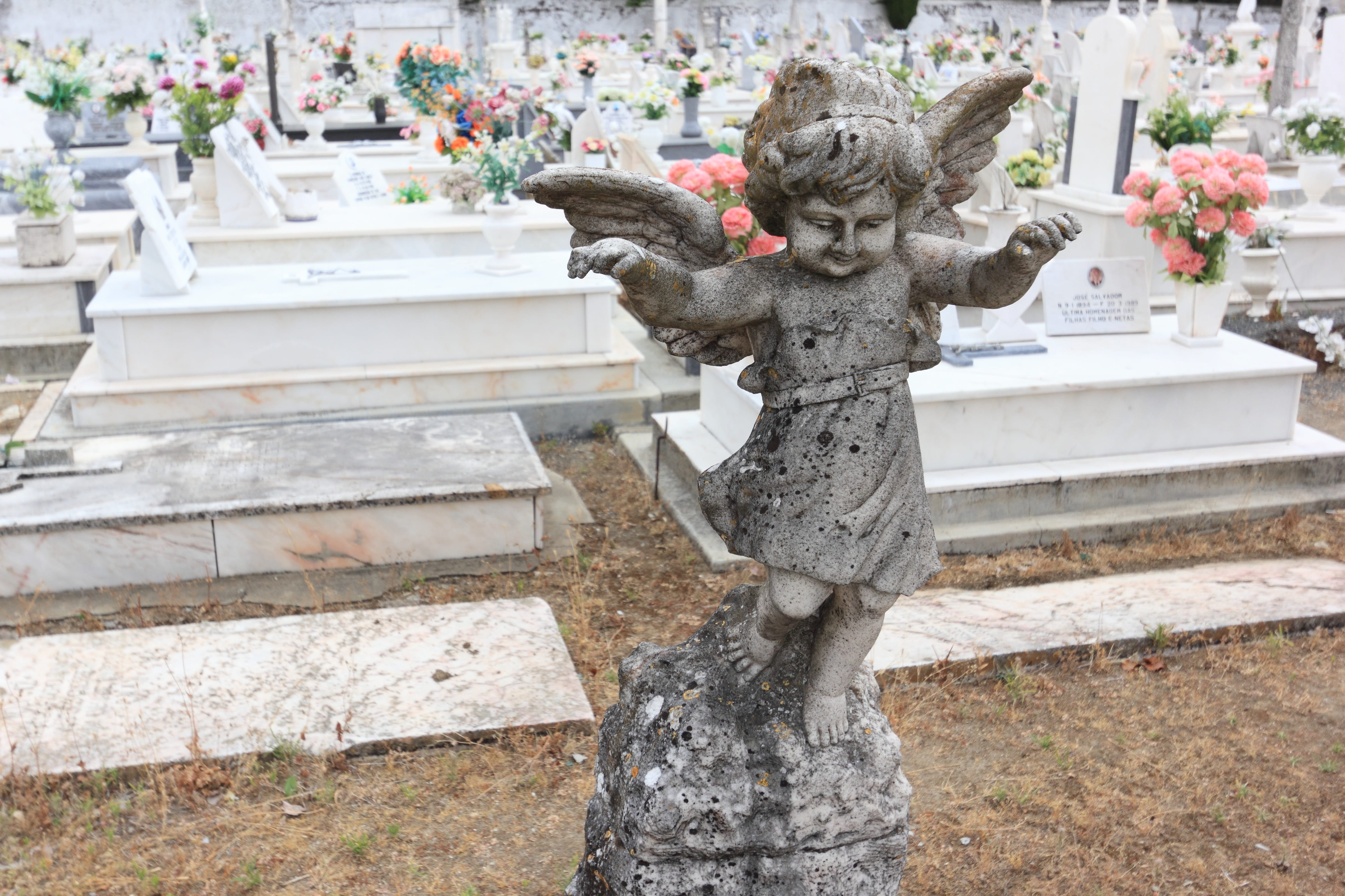 Portugal, stone material, military, Cemetery, outdoors, graveyard, built structure, sculpture, Angel, focus on foreground, religion, creativity, nature, HD Wallpaper