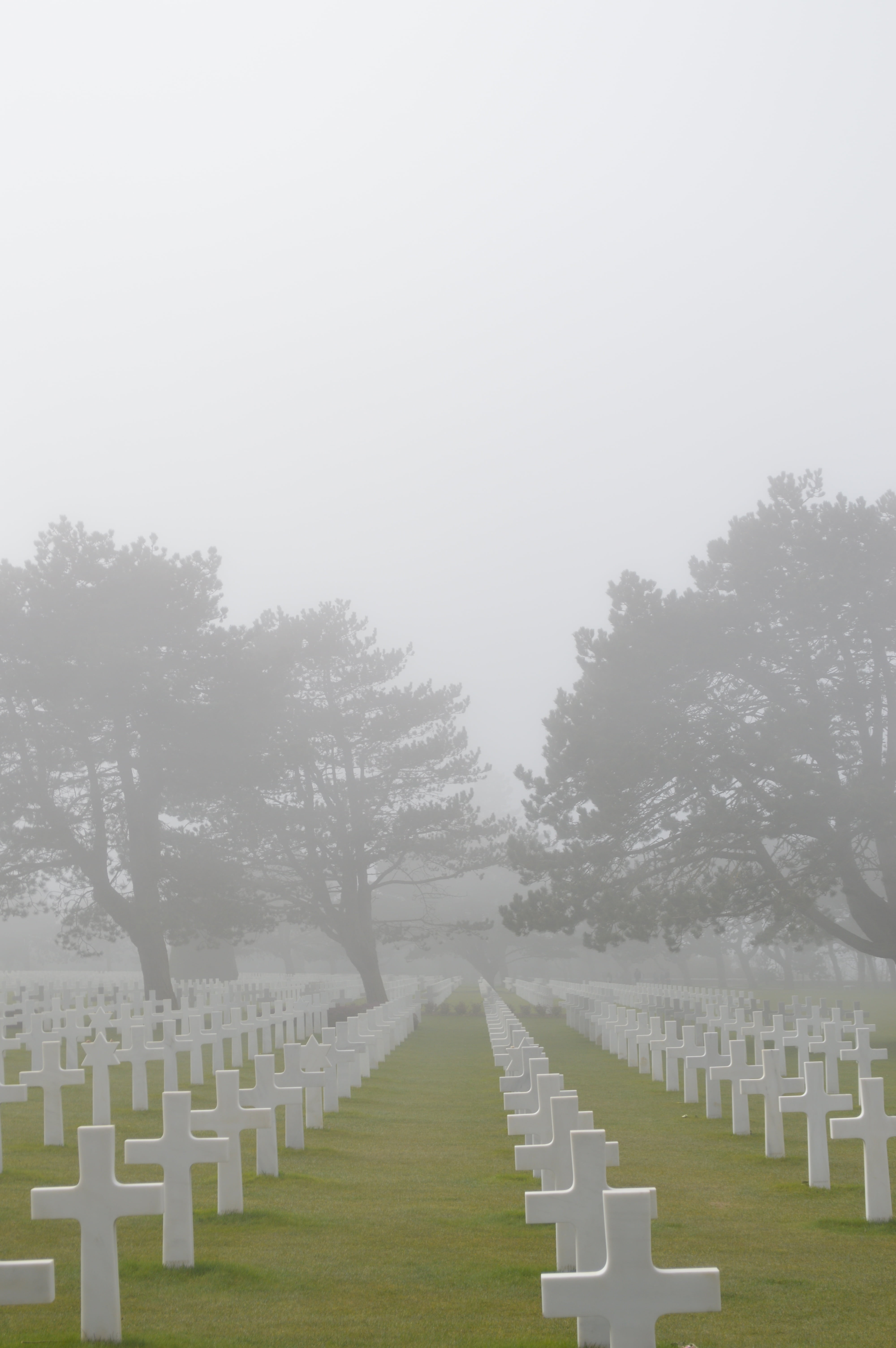 plant, outdoors, no people, tribute, sadness, tree, normandy, stone, old, silence, american, war memorial, grey sky, cloud, military, in a row, grass, war, Phone HD Wallpaper