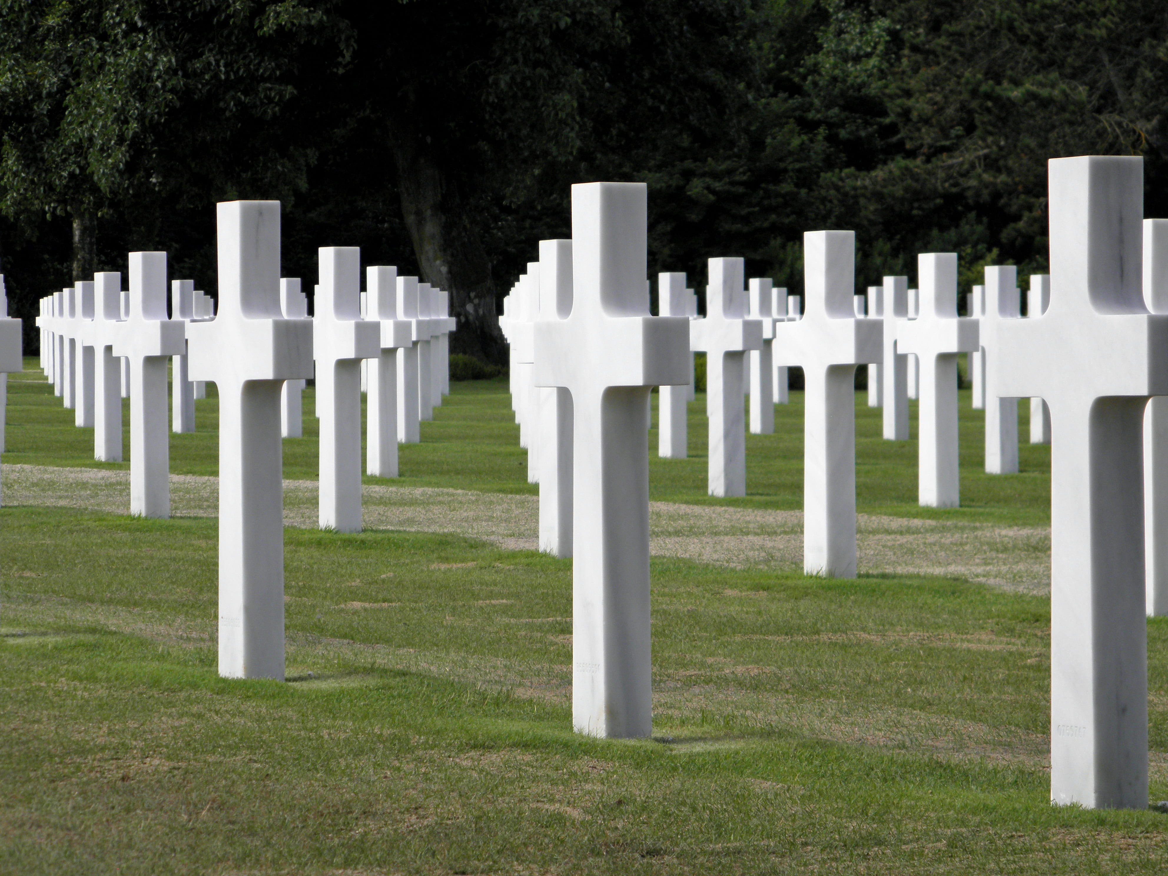 cemetery, cross, military, grabstette, emotion, grass, memorial, commemorate, white color, large group of objects, die, nature, outdoors, grave, green color, HD Wallpaper