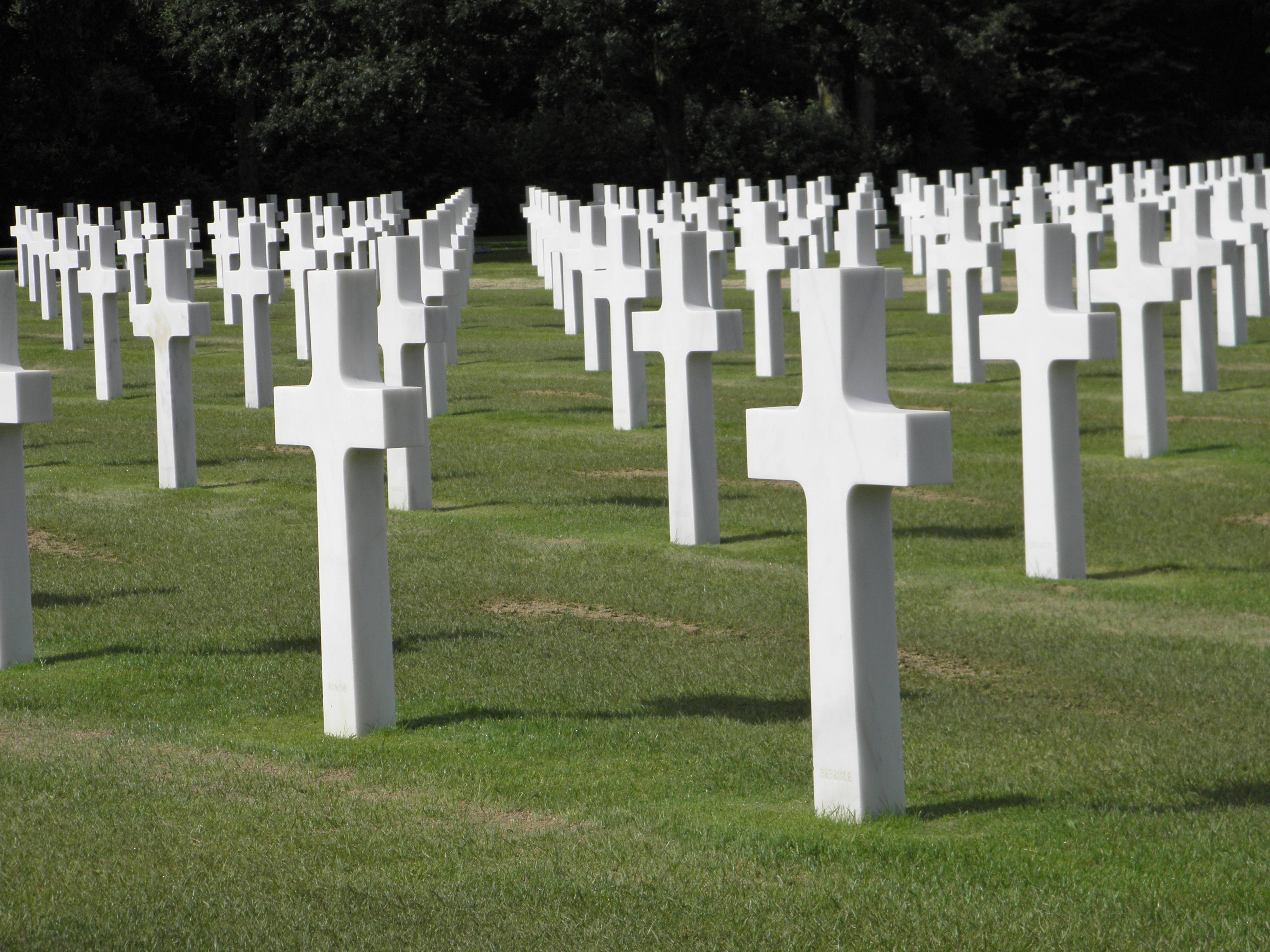 the past, graves, grass, in a row, no people, die, cemetery, grave, mourning, military cemetery, stone, day, sadness, tree, memorial, memory, history, tombstone, HD Wallpaper