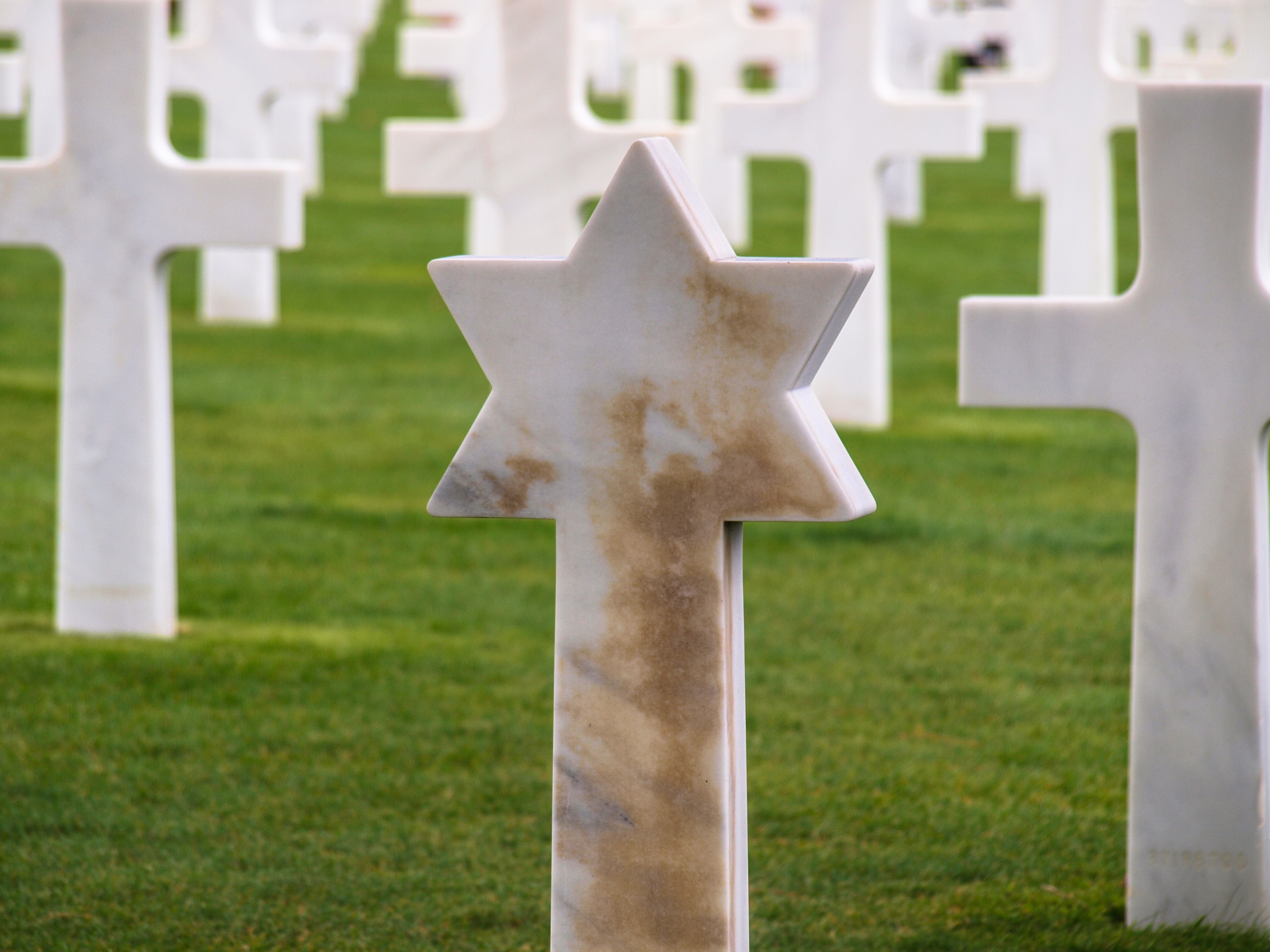 no people, memorial, christianity, cross Shape, grass, tombstone, omaha beach, spirituality, star of david, nature, stone, normandy, grave, day, mourning, HD Wallpaper