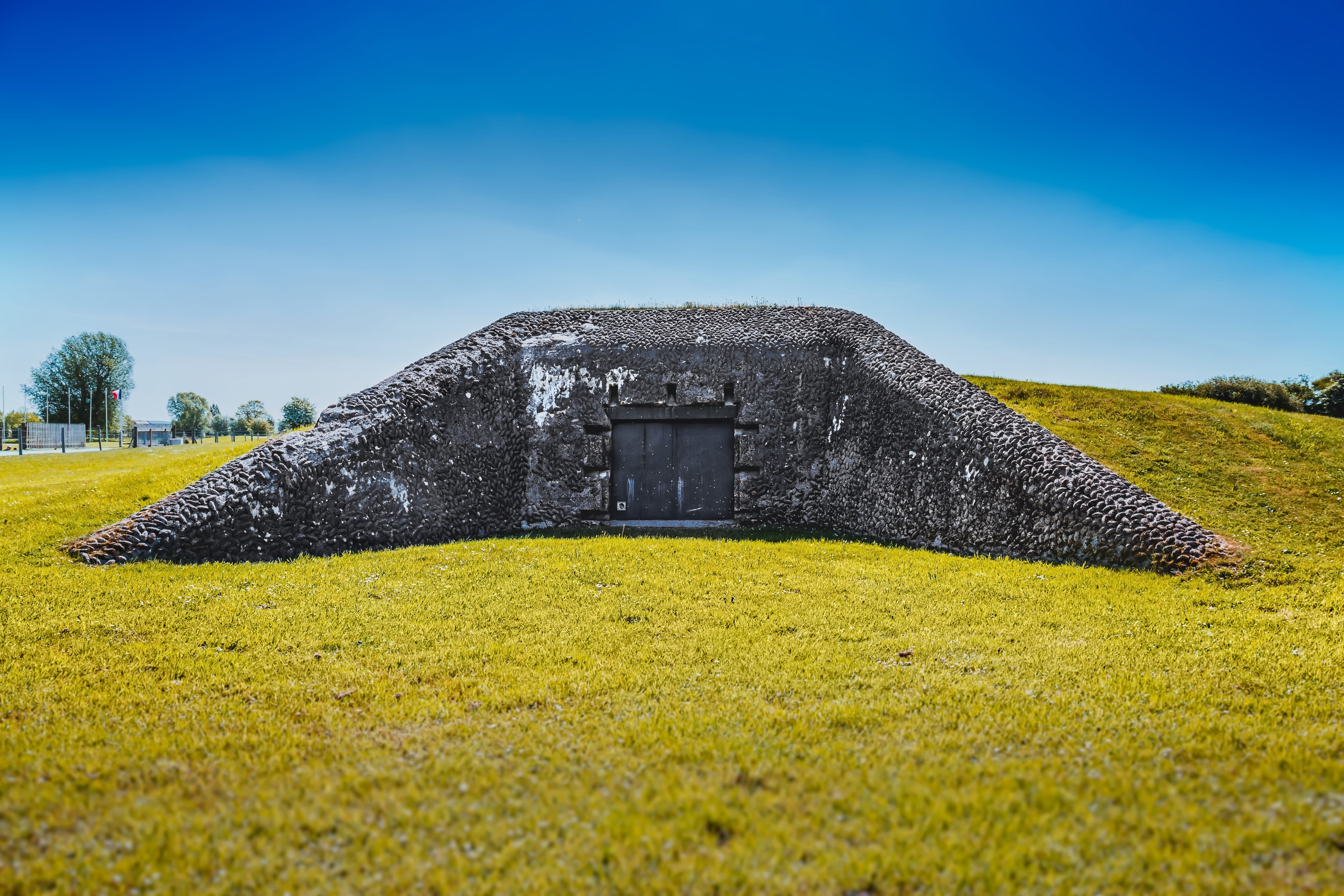 black, 5K, plant, cannon, german, tree, land, clear sky, sky, artillery, beauty in nature, 1944, battery, france, nature, military, surrounded, daytime, HD Wallpaper