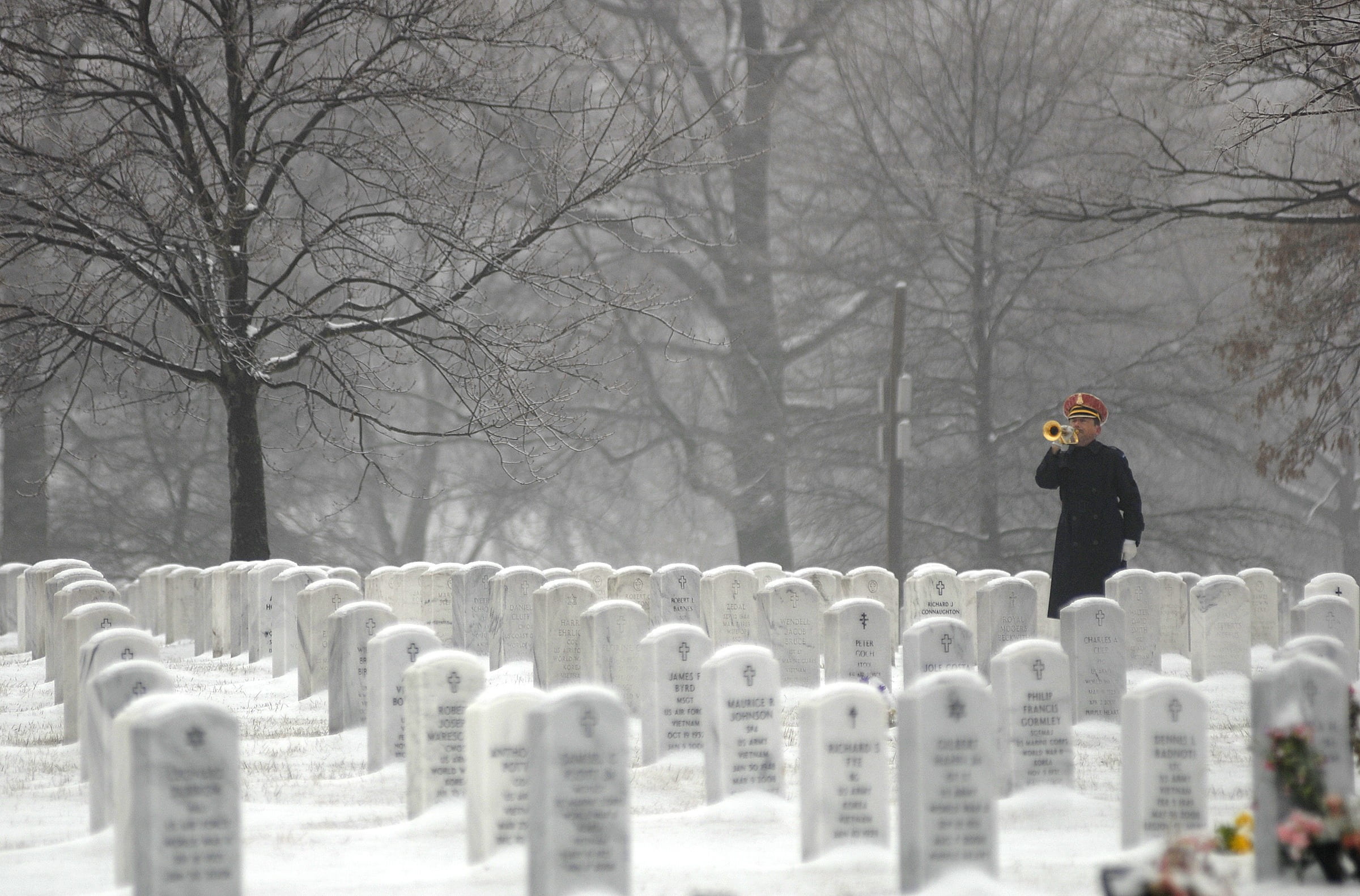 arlington national cemetery, outdoors, memorial, tree, emotion, trees, men, graves, covered, bare tree, washington dc, day, stone, field, somber, winter, HD Wallpaper
