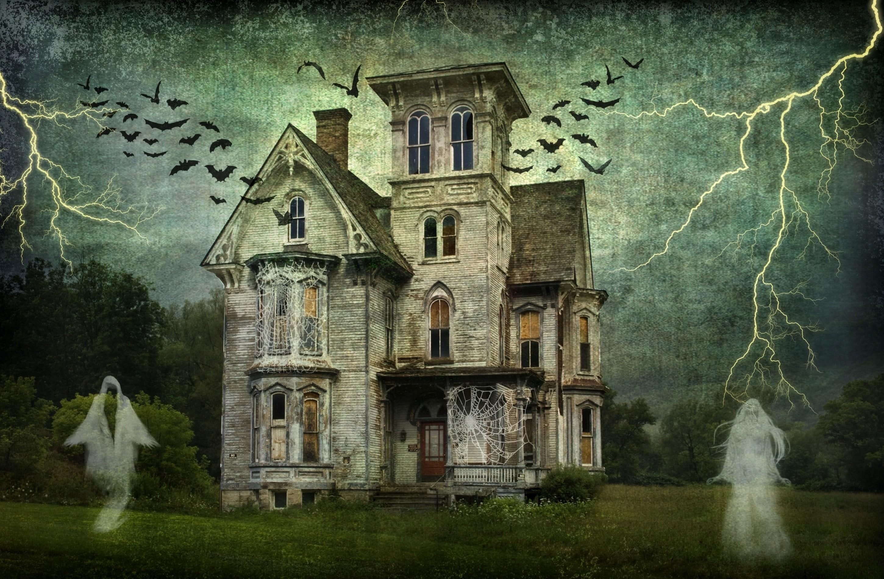house, spirituality, auto post production filter, nature, sky, Lightning, old, outdoors, Castle, building, window, textured effect, grass, Birds, belief, HD Wallpaper