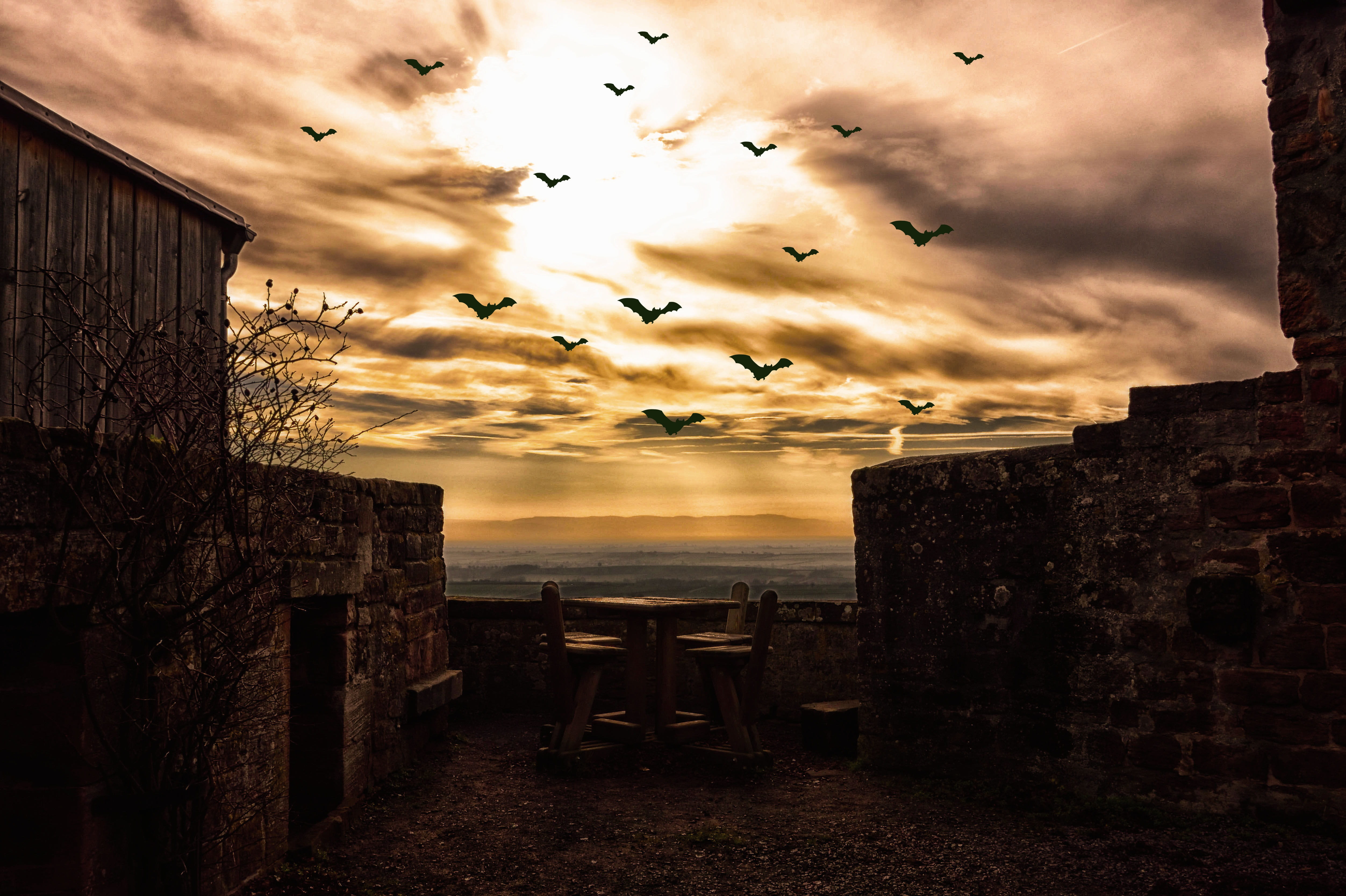 covered sky, outdoors, house, animal themes, color, light, bats, mystical, ghost, building exterior, cloud, spring, magic, no people, summer, group of animals, HD Wallpaper