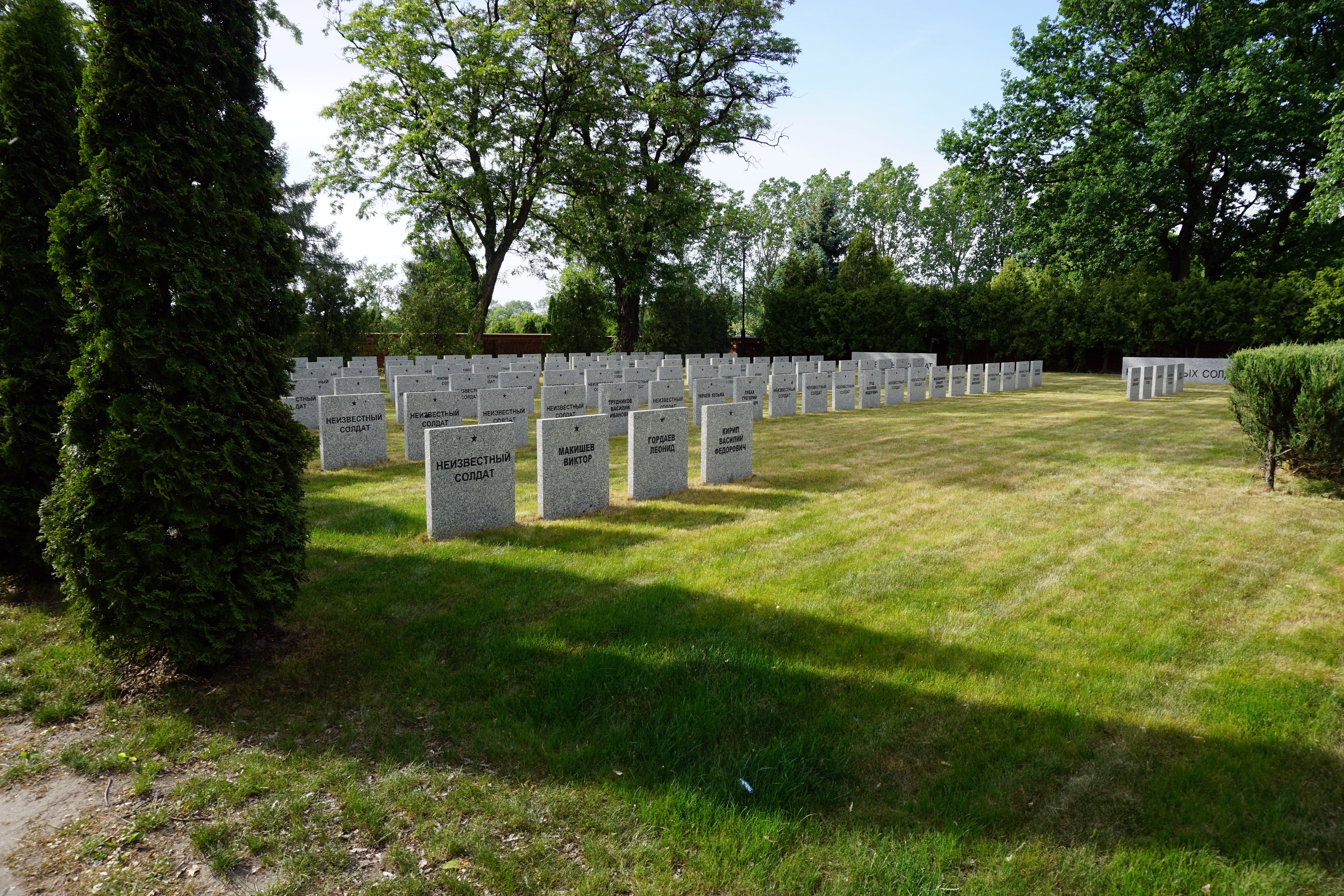 kościan, graves, tranquility, grass, soldier, day, unknown soldier, memory, outdoors, tranquil scene, tree, tombstones, grave, the dead, memorial, sunlight, HD Wallpaper