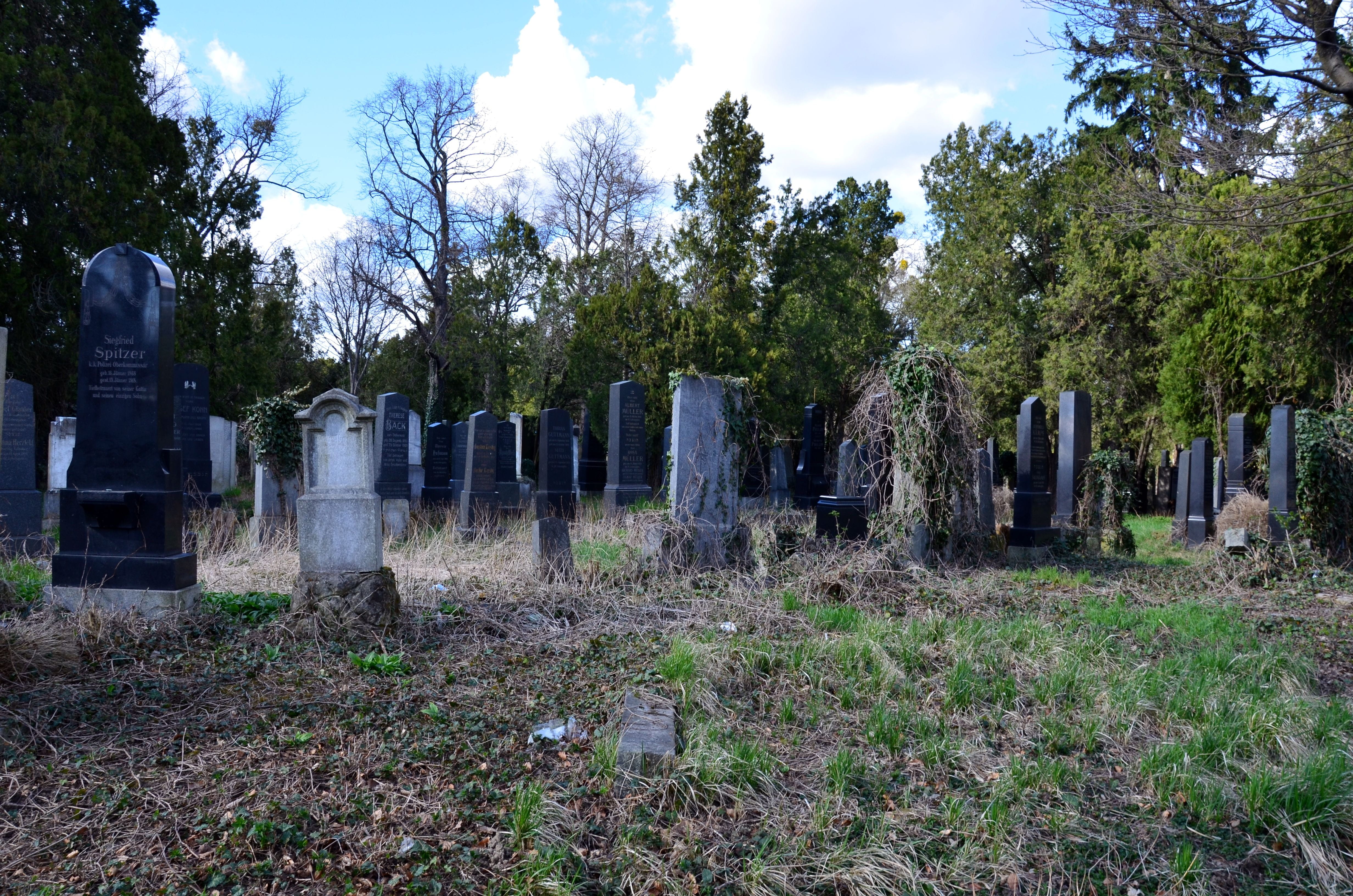 stone, tree, day, old cemetery, cemetery, grass, plant, resting place, old, rock carving, graves, sky, nature, dead, commemorate, mourning, no people, tombstone, HD Wallpaper