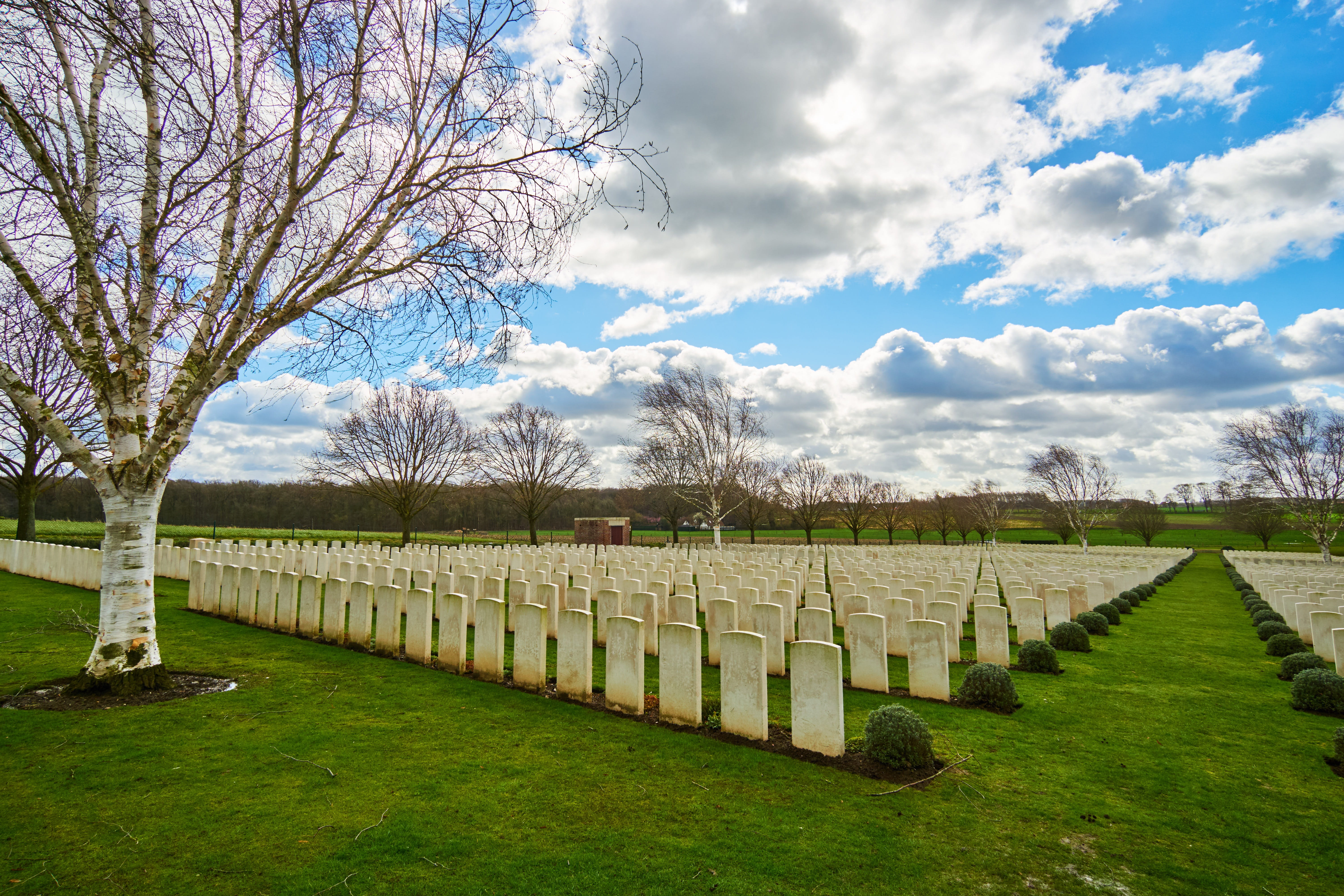 flanders, 5K, army, tree, cemetery, soldier, belgium, battle field, ypres, war, world war, field, day, tombstone, green color, memory, grave, cloud - sky, HD Wallpaper