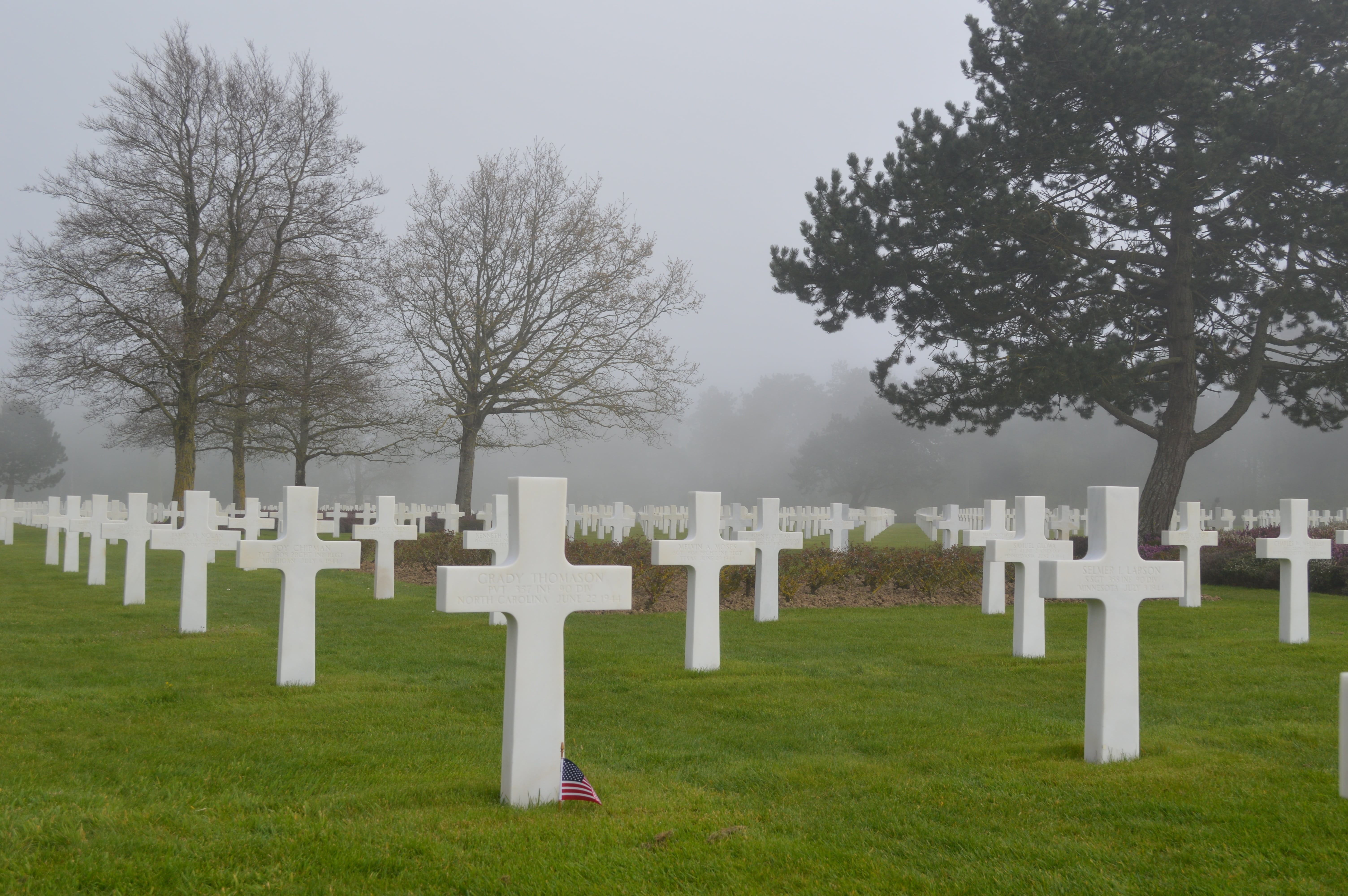 commemoration, landing, tombstone, falls, no people, american, outdoors, grass, religion, cemetery, history, cross, tribute, in a row, day, plant, green color, HD Wallpaper