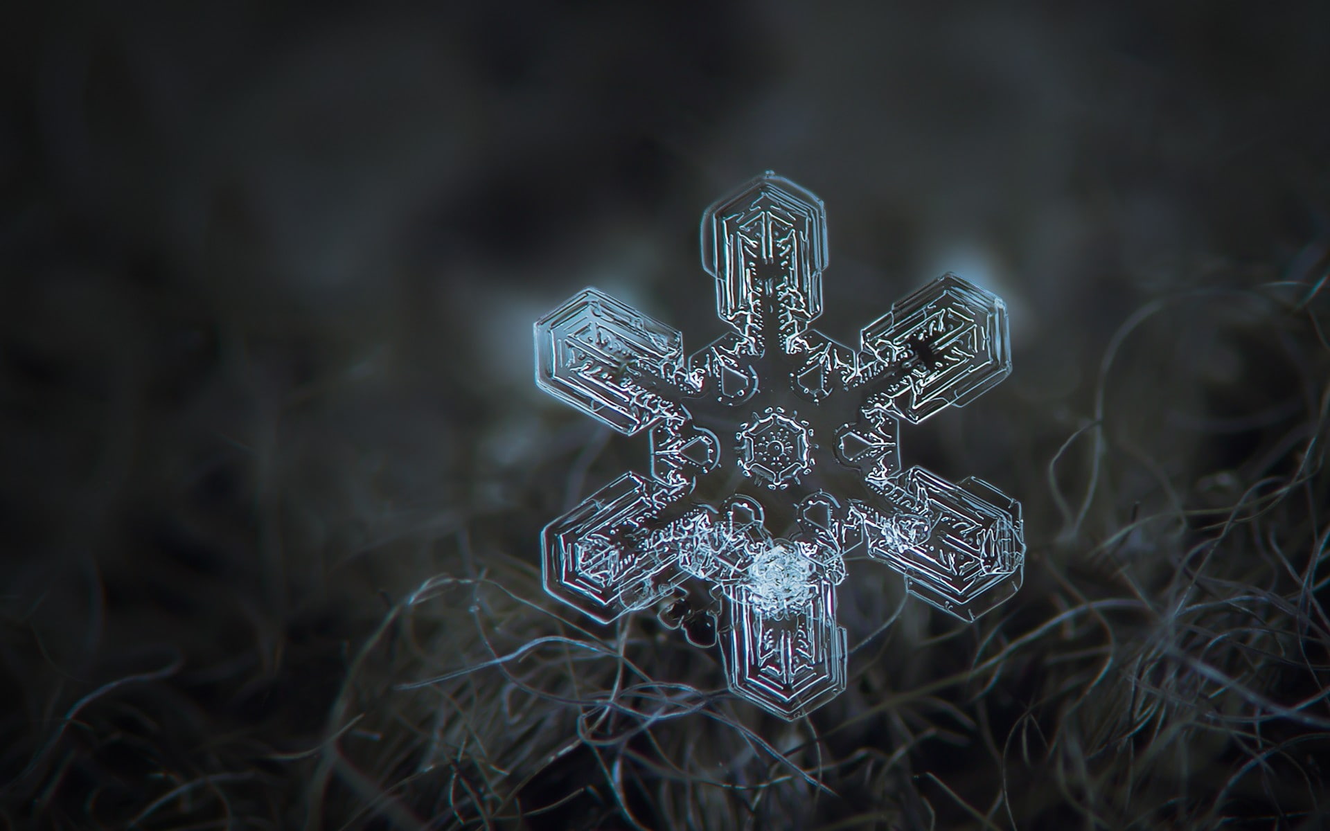 focus on foreground, spirituality, outdoors, cross, plant, 1080P, selective focus, belief, close-up, communication, nature, religion, field, cold temperature, HD Wallpaper