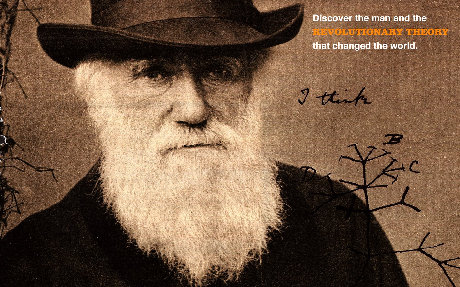 1080P, Men, Charles Darwin, Beard, HD Wallpaper