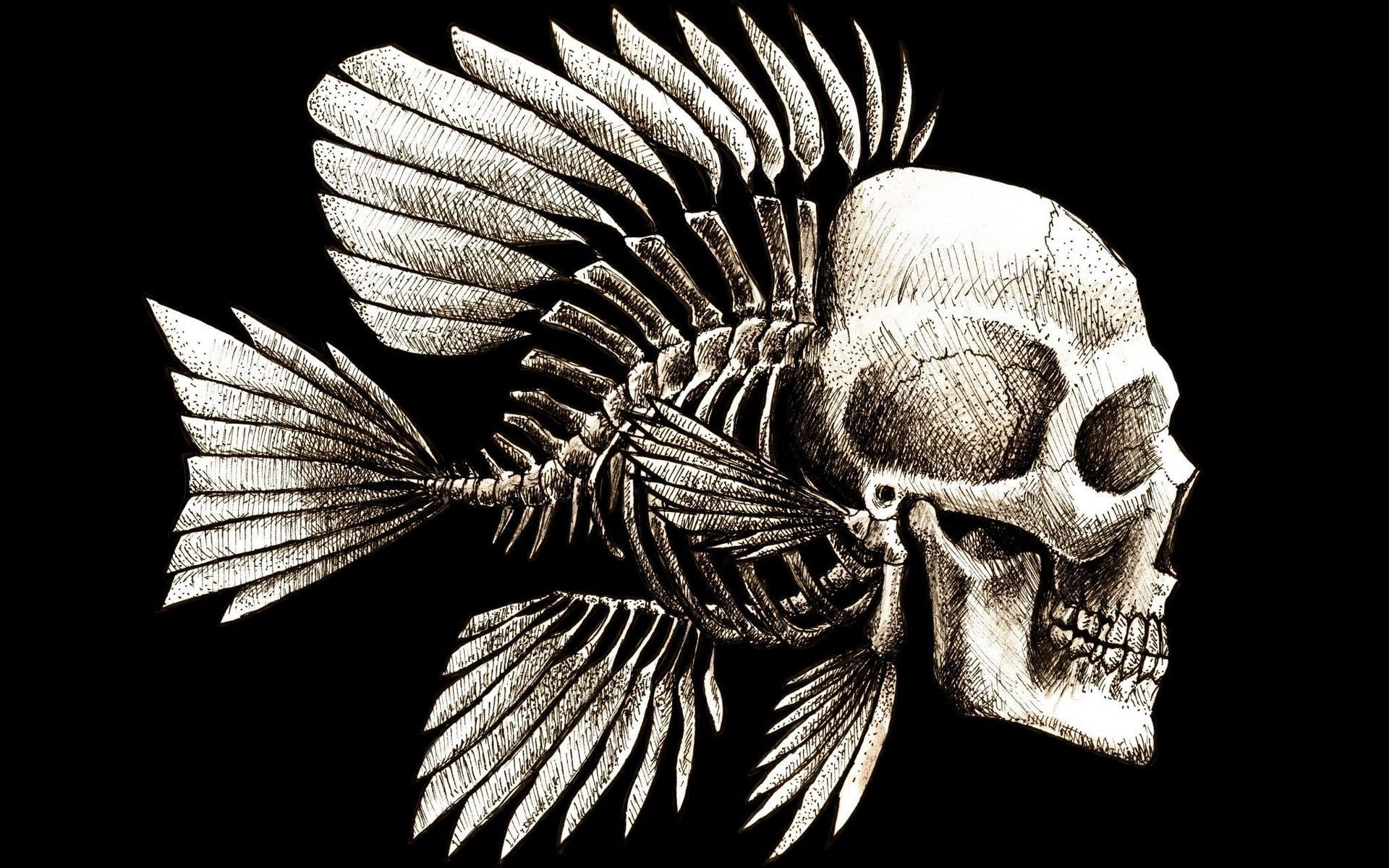 seaman, hd, charles, art, bones, fish, humor, 1080P, darwin, x, animals, artwork, Skulls, HD Wallpaper